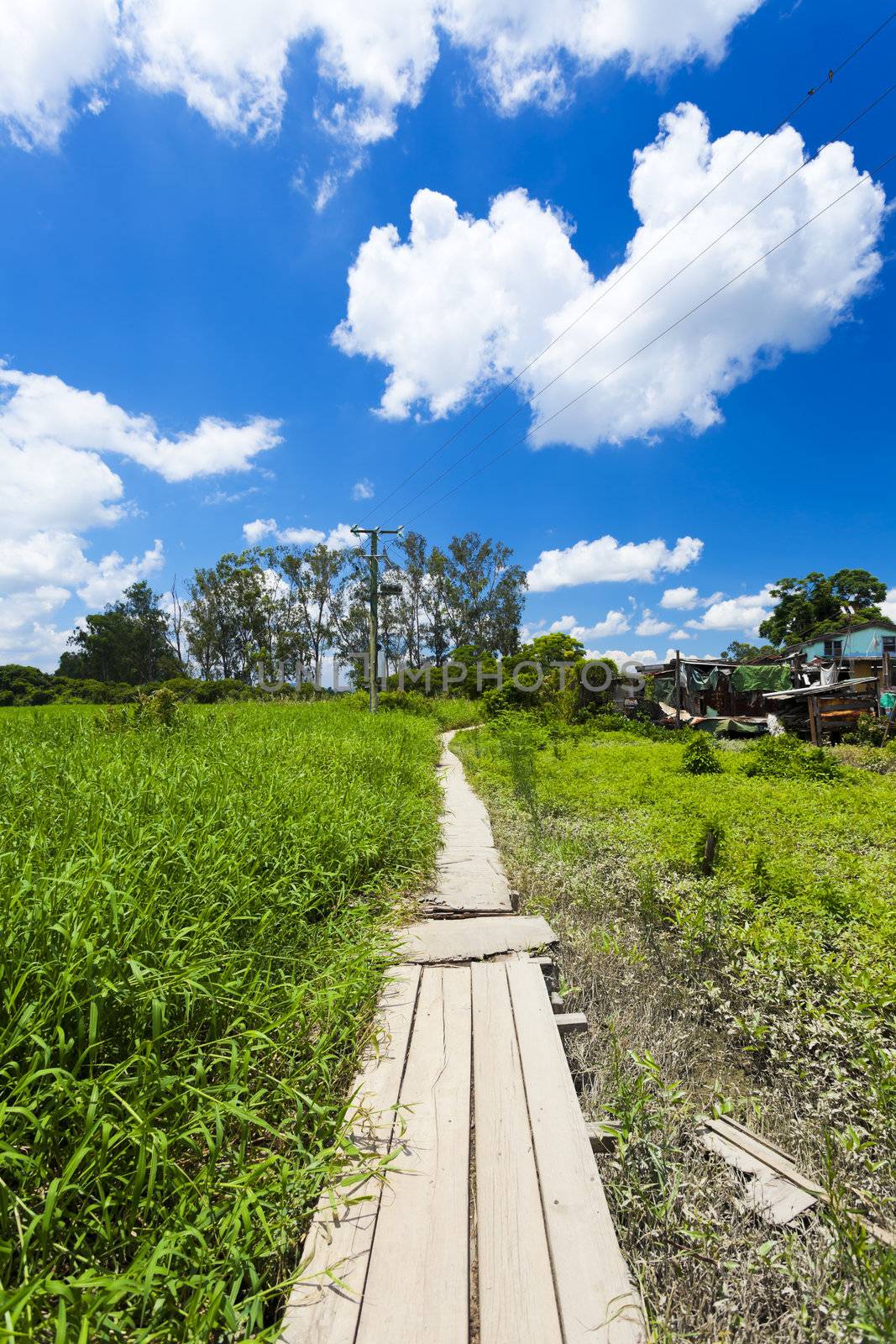 Beautiful path along the meadows by kawing921