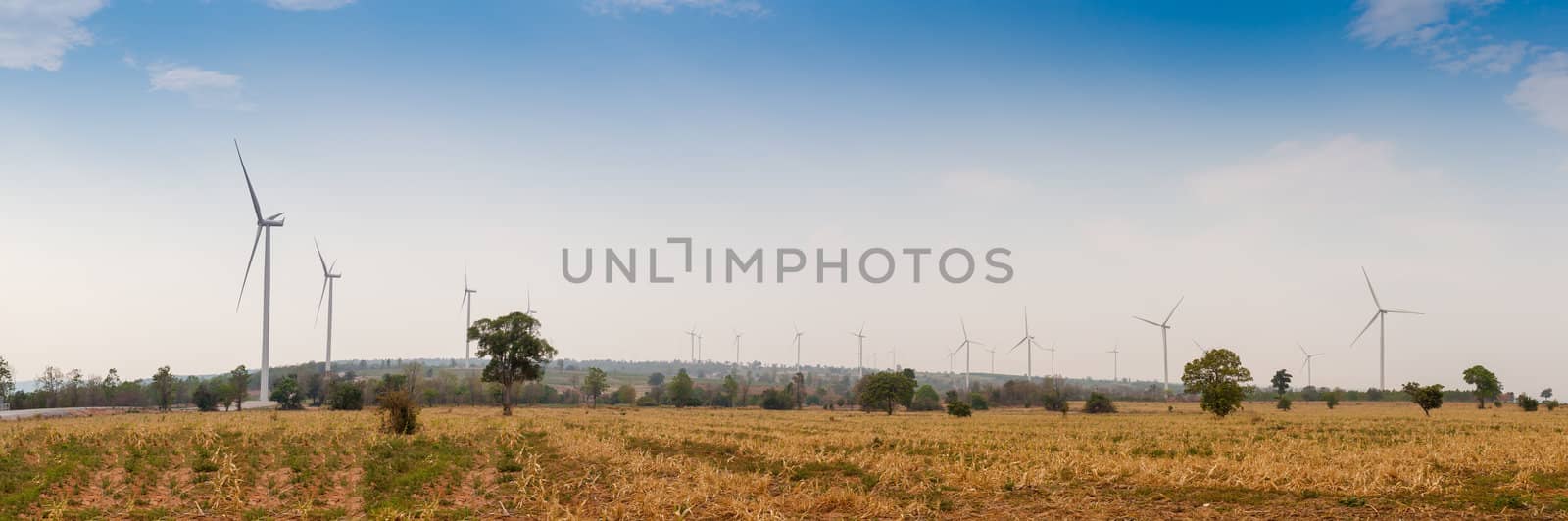 Eco power, wind turbines field panorama