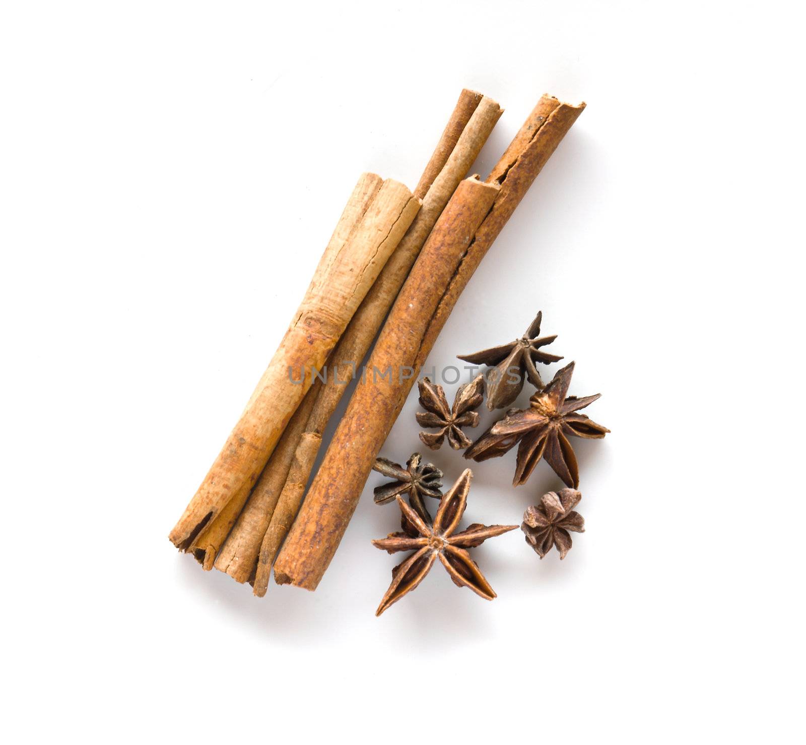 Cinnamon  and anise  on white background