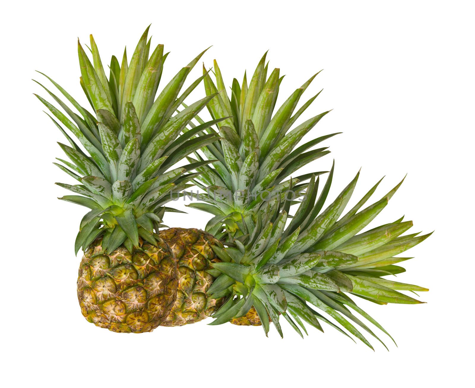 Fresh pineapple isolated on white background