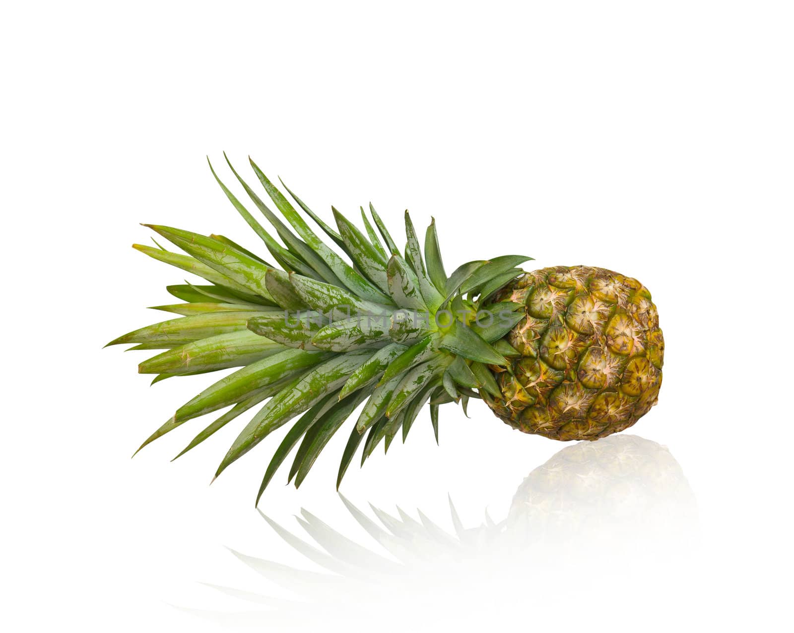 Fresh pineapple isolated on white background