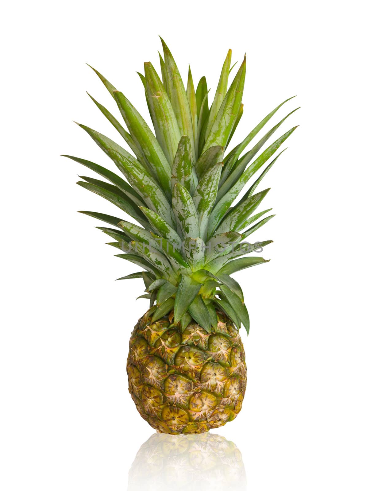 Fresh pineapple isolated on white background