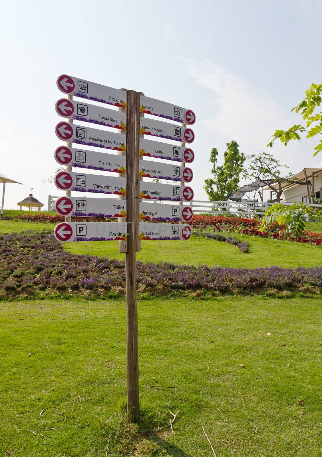 Information street signpost in the garden