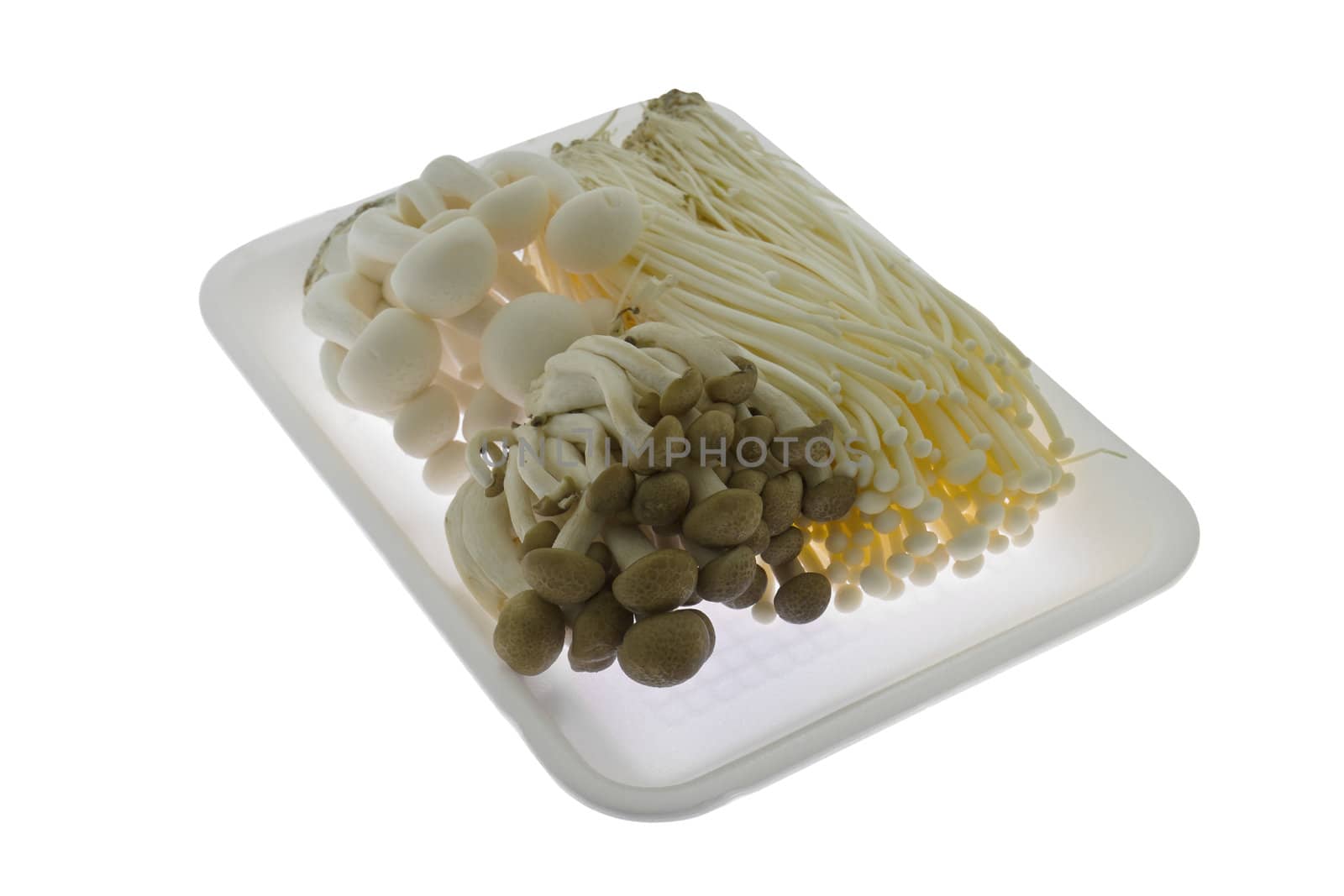 Brown beech mushrooms, Shimeji mushroom, on white background