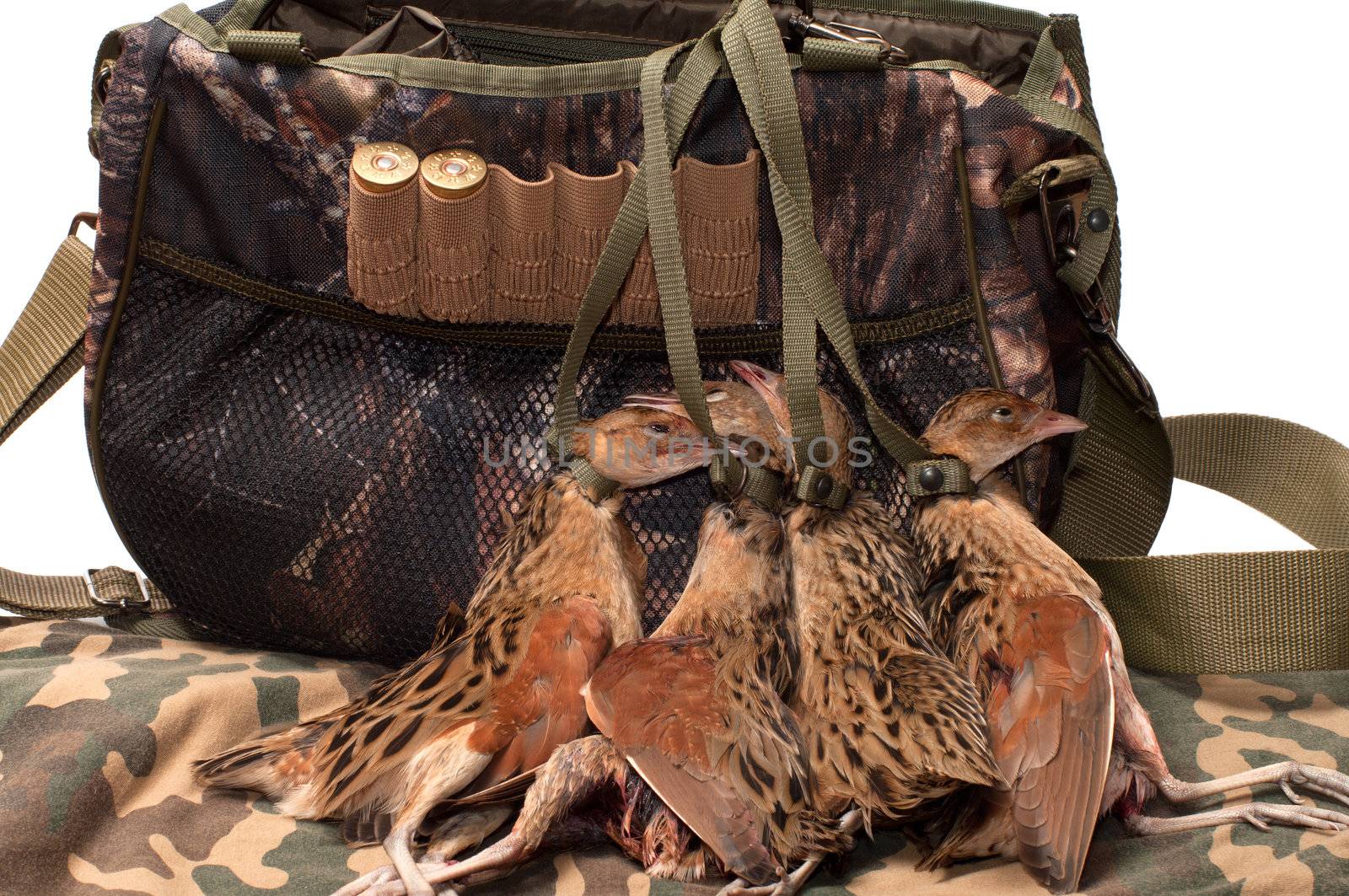 Game bag and corncrakes in camouflage cloth.