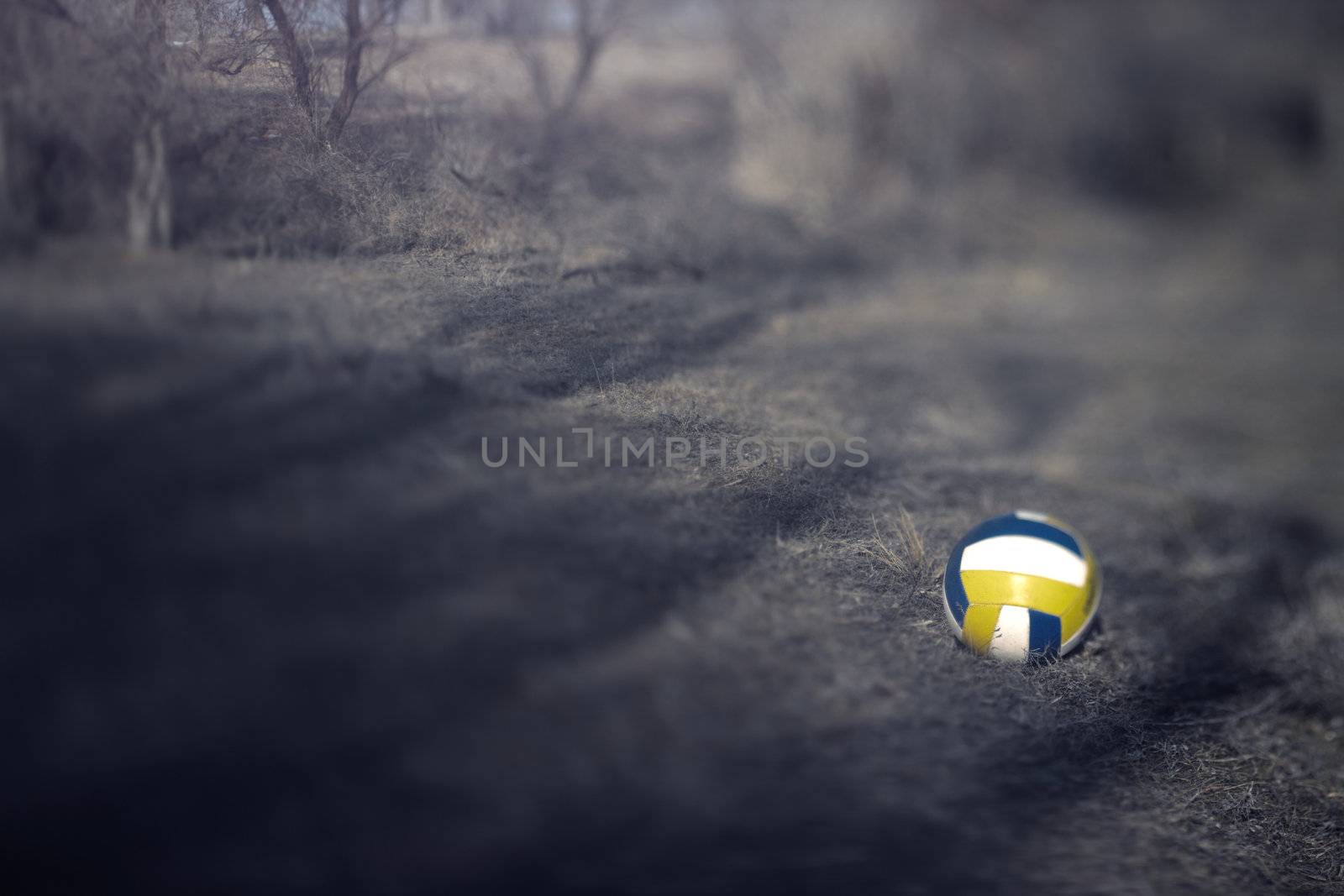 Volleyball ball outdoors. Shallow depth of field added by the tilt/shift lens for artistic view. Natural light and colors