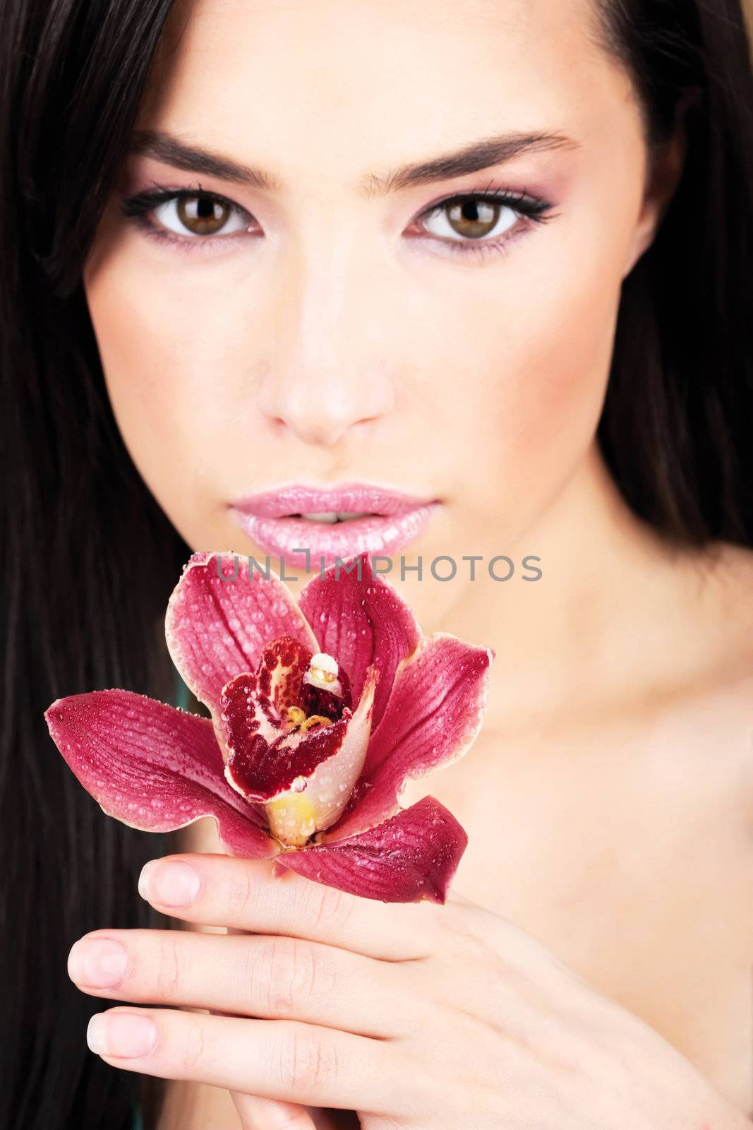 Red orchid in hands by imarin