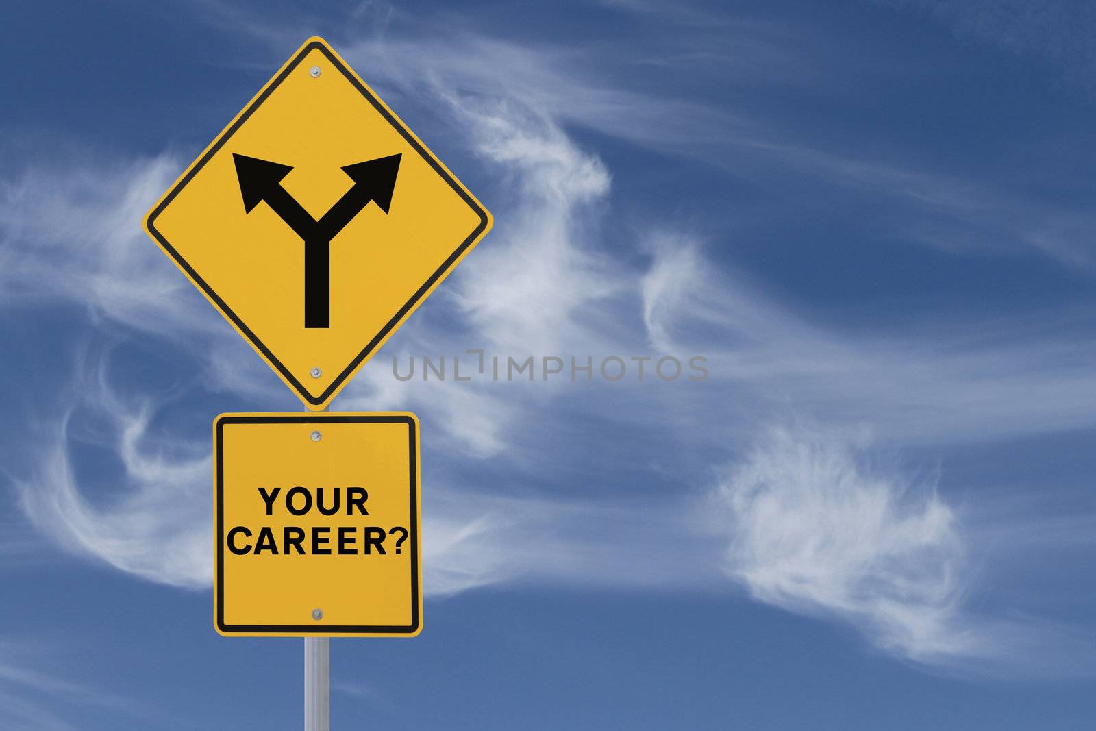 Road sign on the need for a career direction or decision (on a blue sky background)