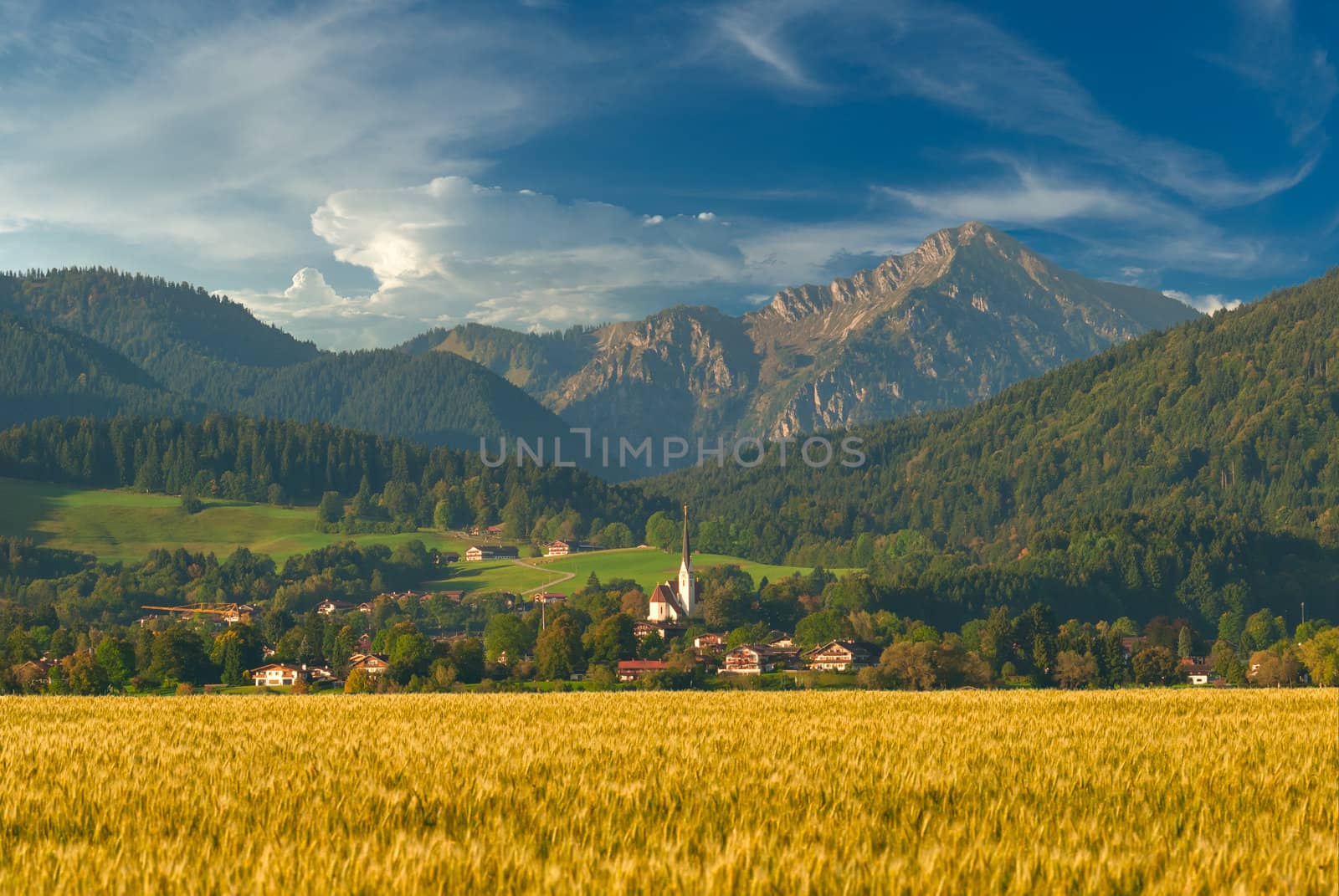 Landscape with golden wheat field by firewings