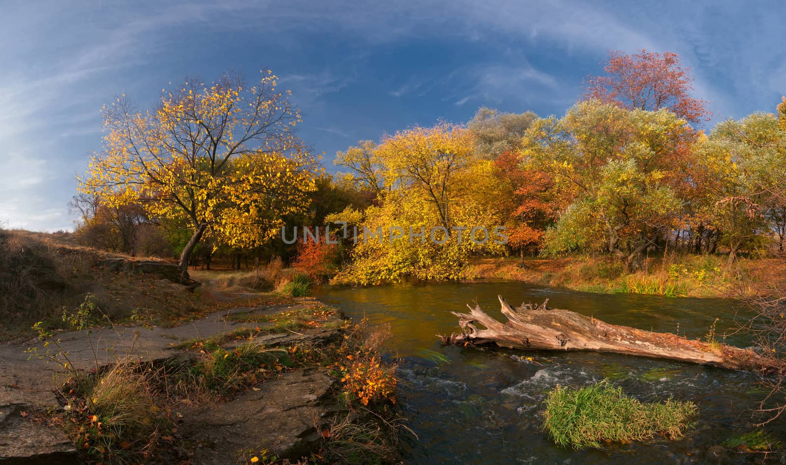 Colorful autumn landscape with wood river. Panorama