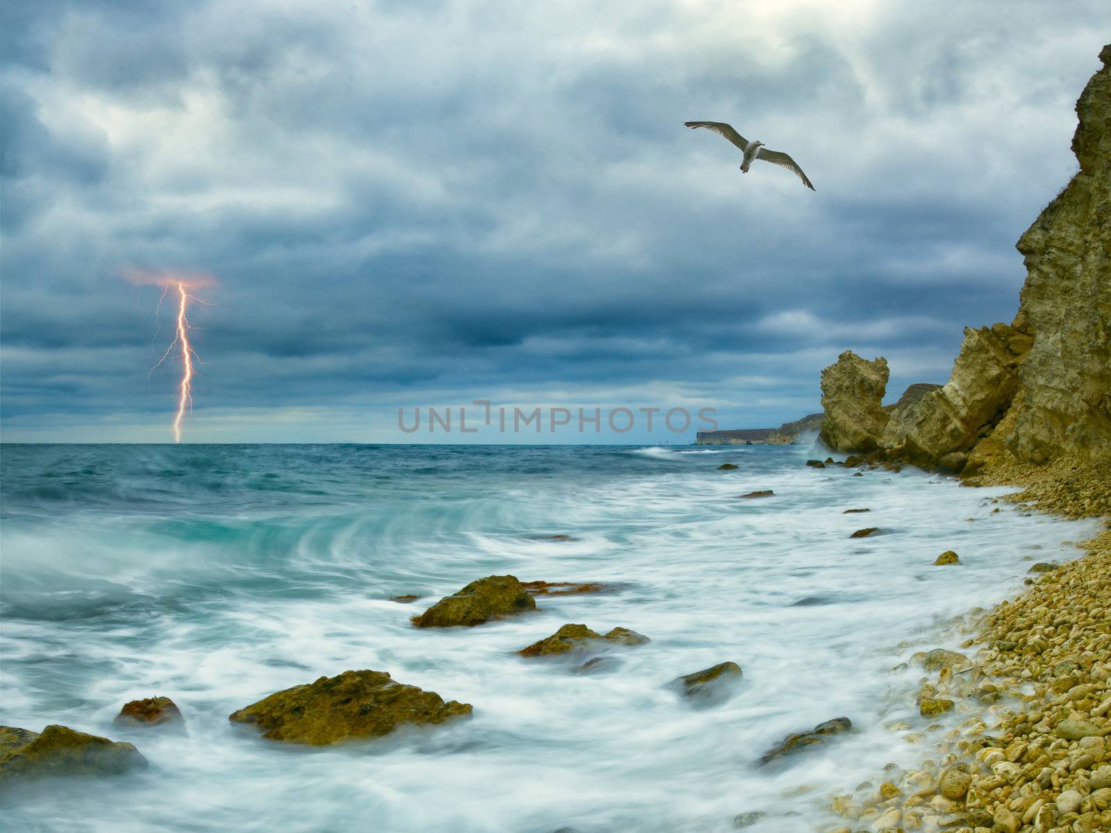 Seagull over ocean, comes nearer a thunder-storm towards the coast from rocks and lightning on background