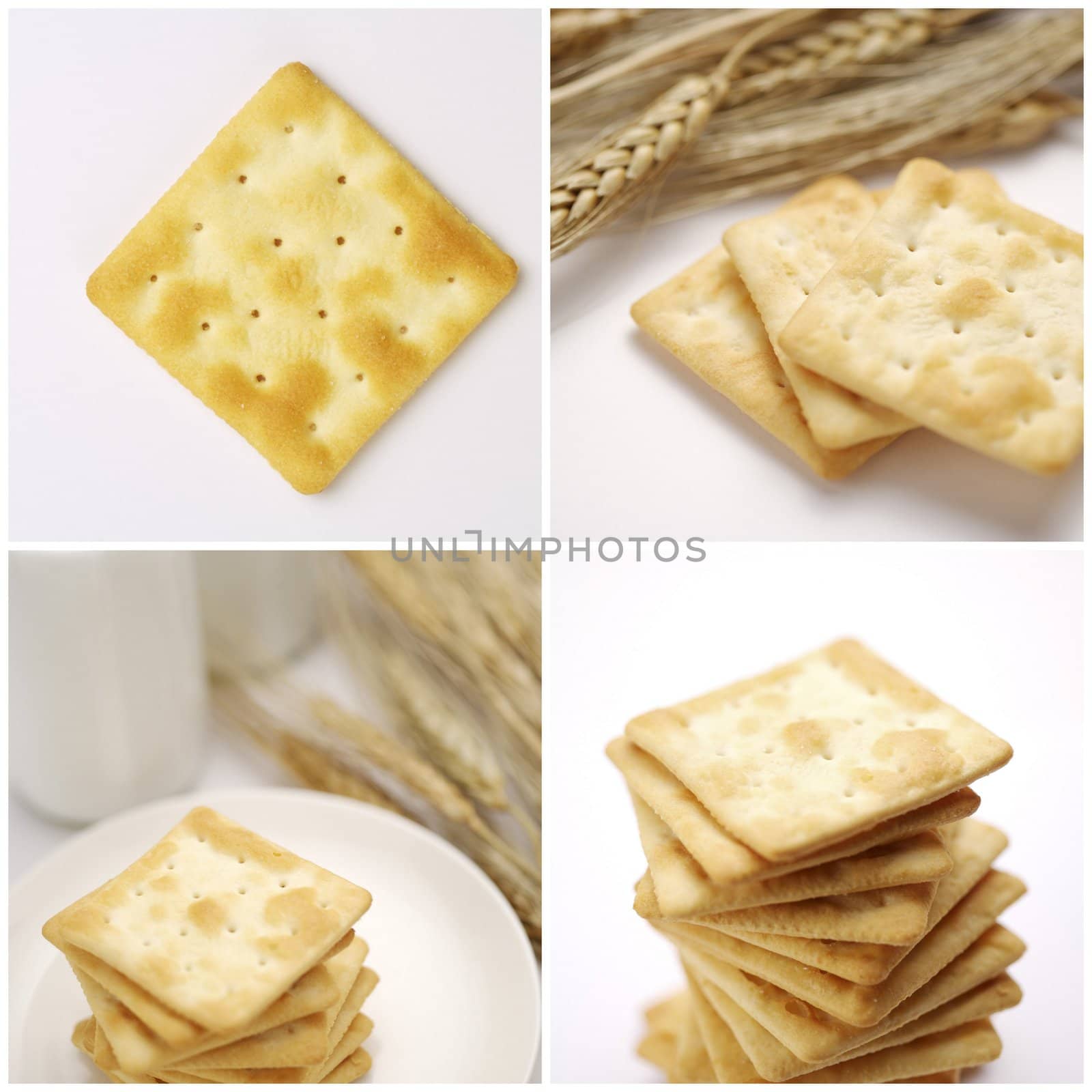 Cracker Biscuits Cookie collage