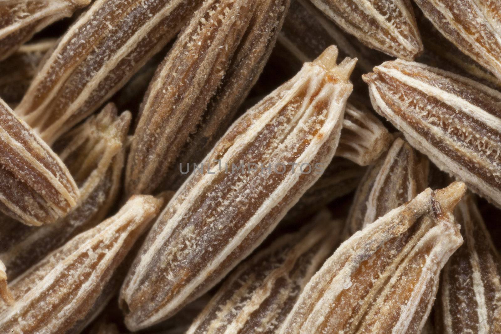 Macro shot of dried cumin seed.