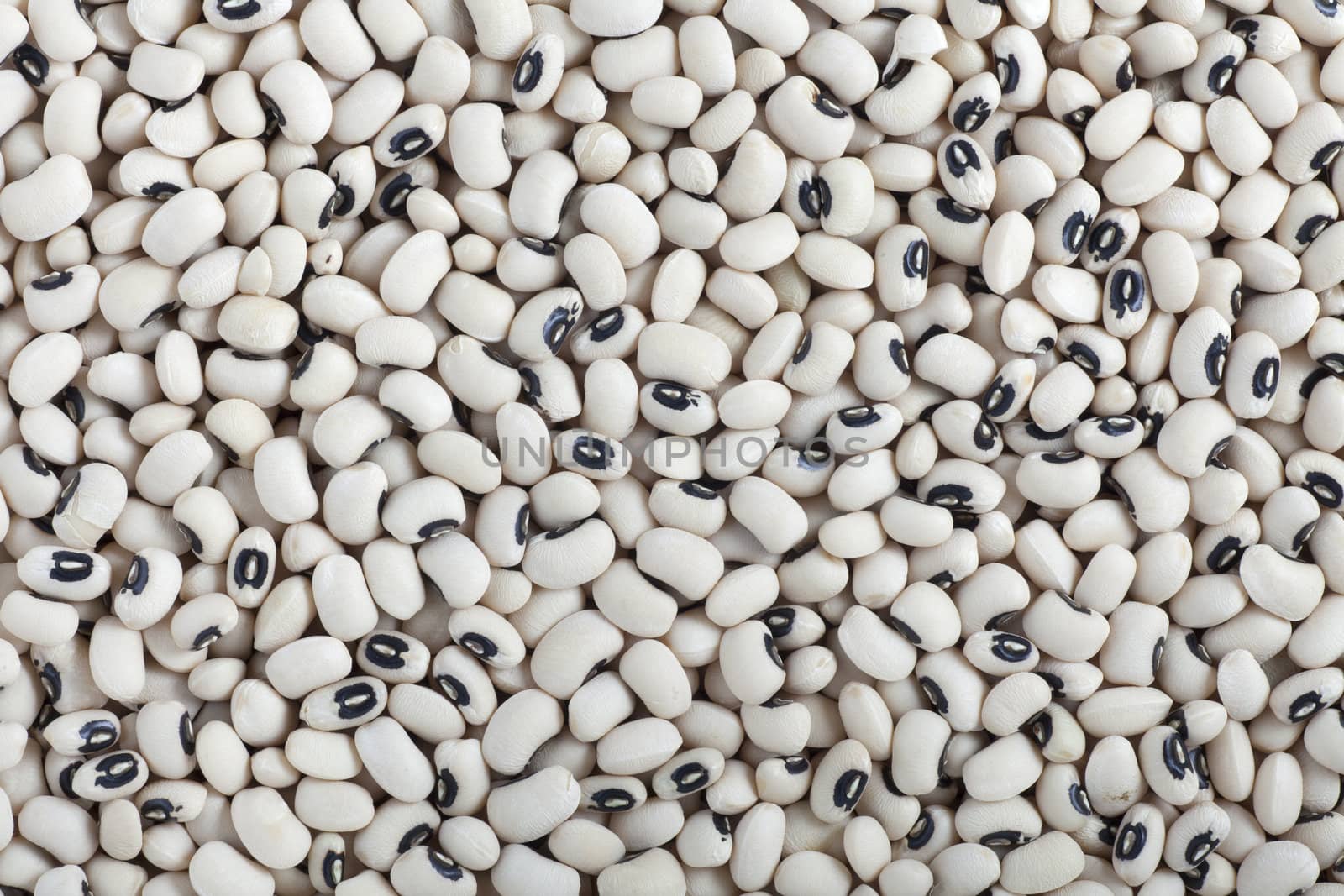 Food texture of dried black-eyed peas.