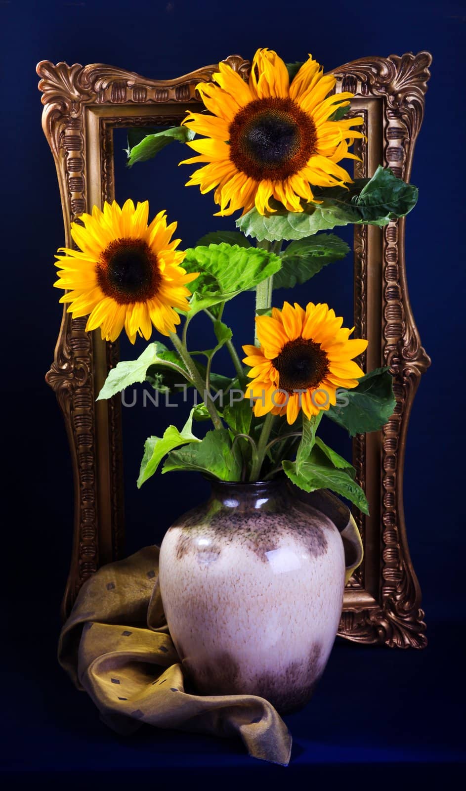 Still life with sunflowers  on dark blue background