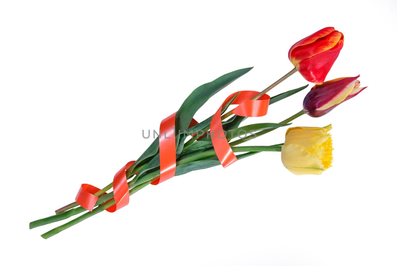 Beautyful bouquet three tulips with tape isolated on a white background