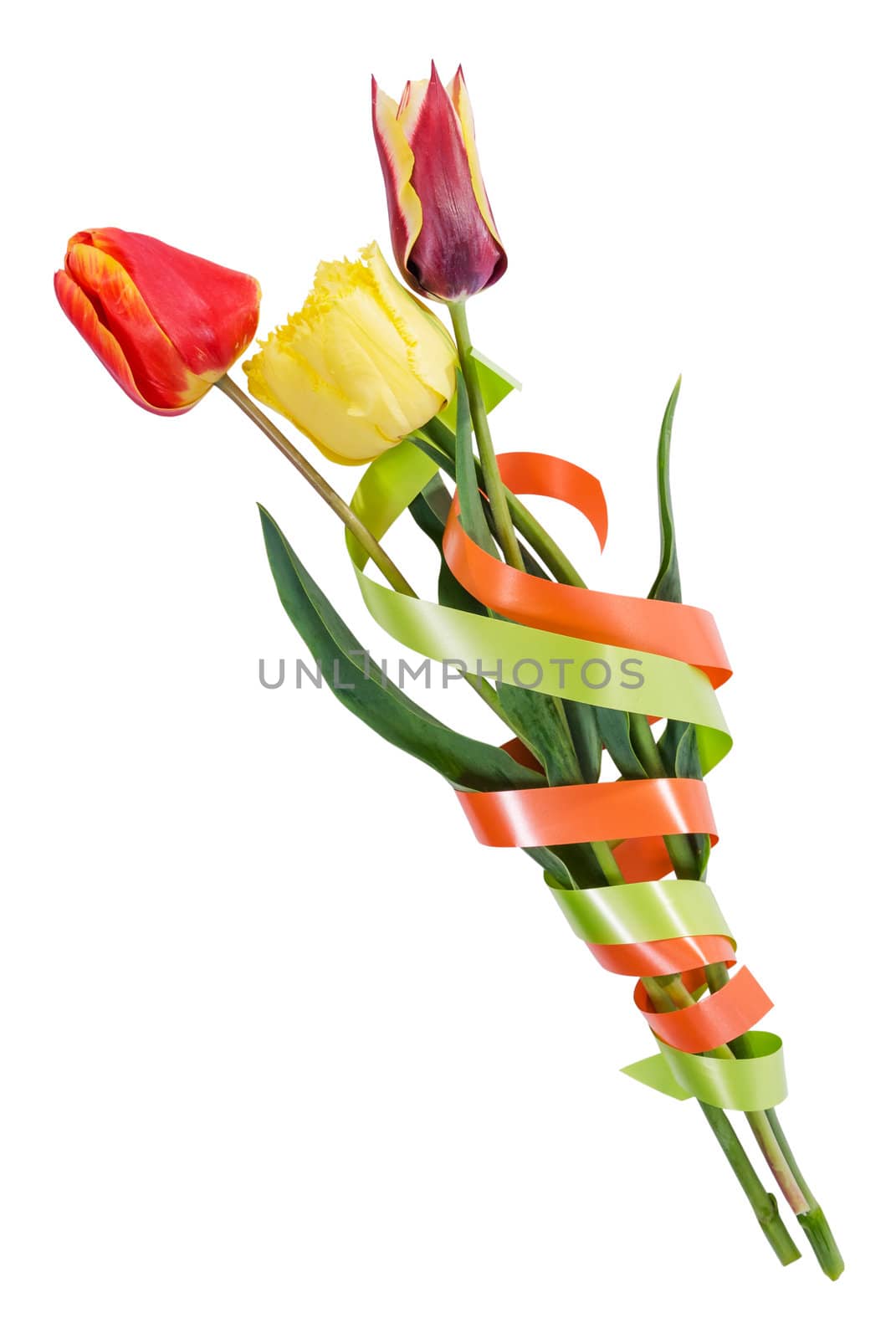 Beautyful bouquet of three tulips with tape isolated on a white background