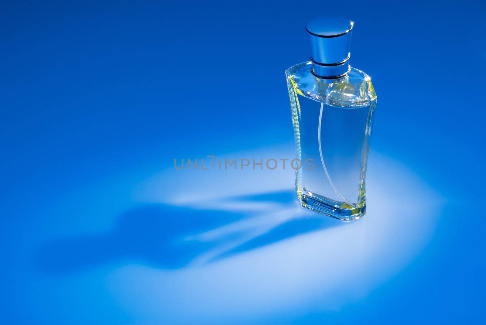 Close up of perfume bottle on blue background