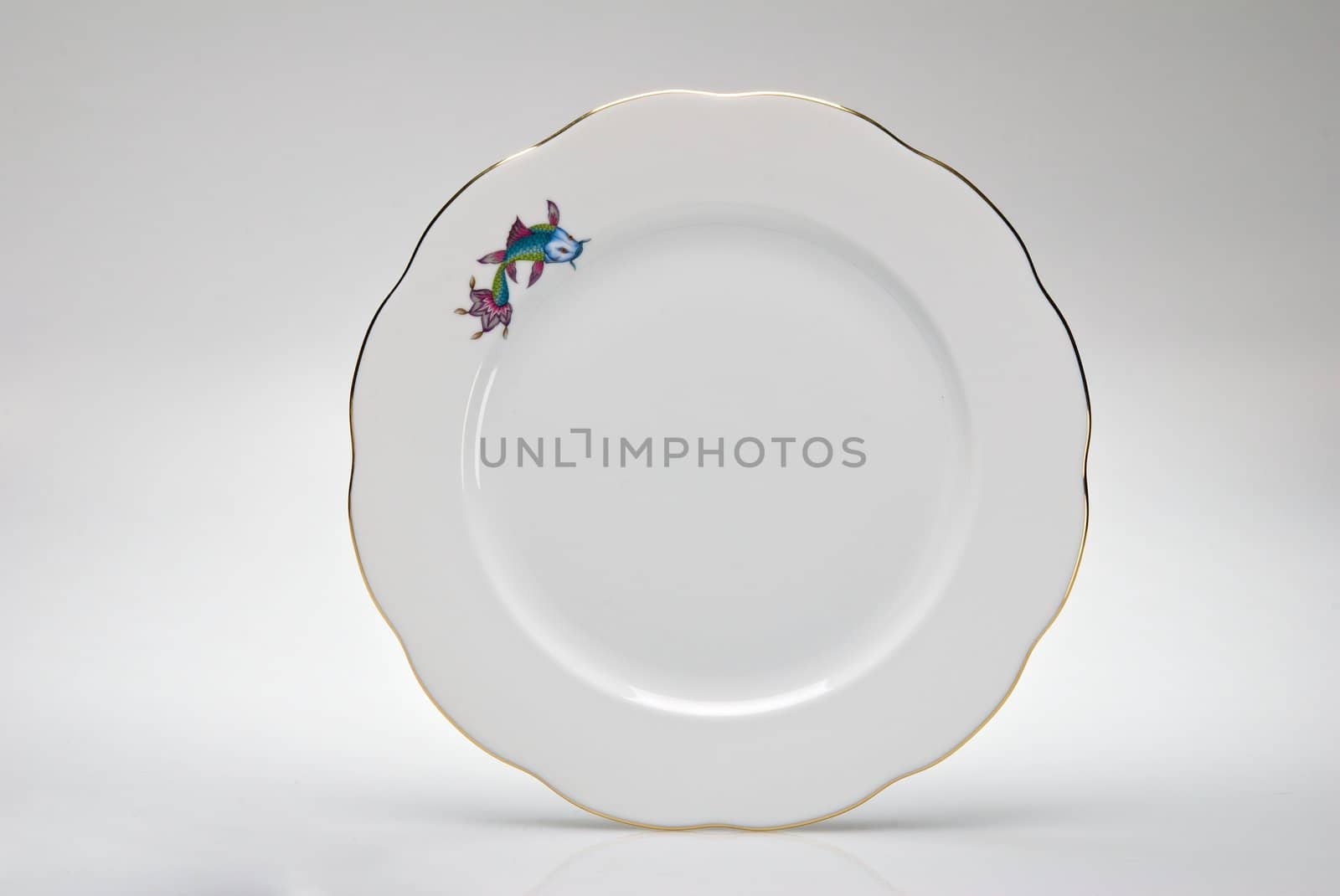 Hand-painted empty dinner plate isolated on white