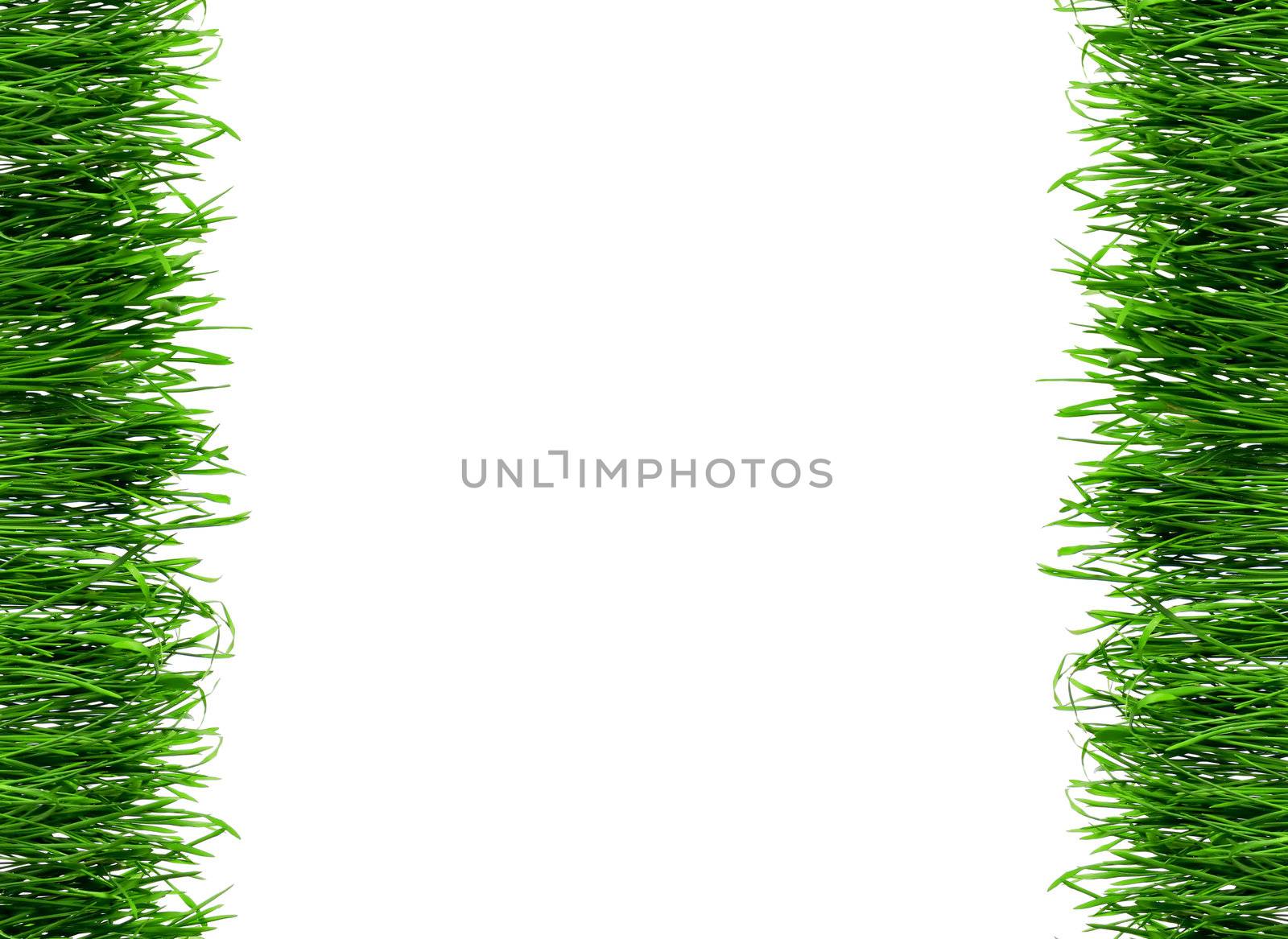 Dew on Seamless fresh spring green grass isolated on white background