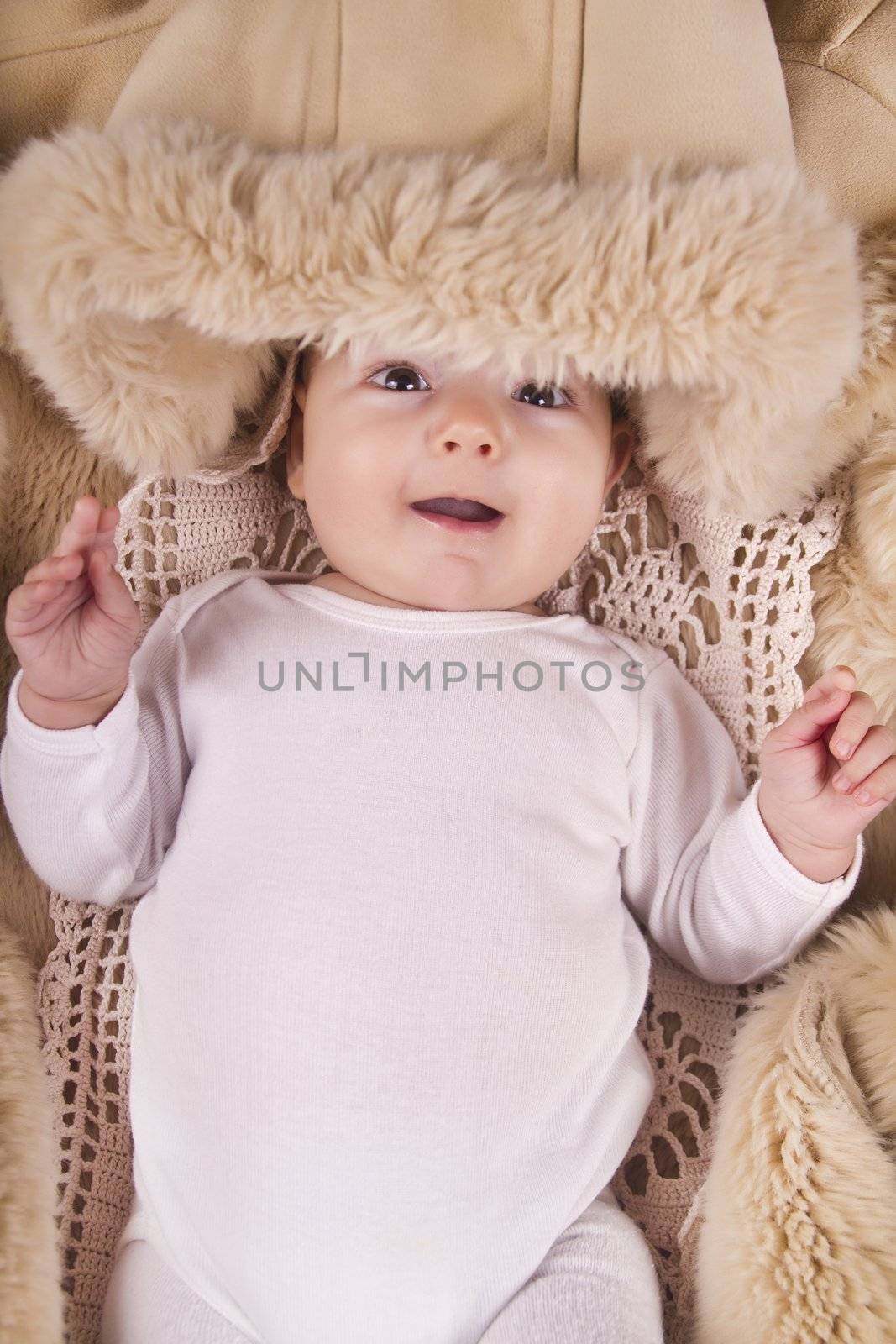 Close up view of a newborn baby inside a winter jacket.