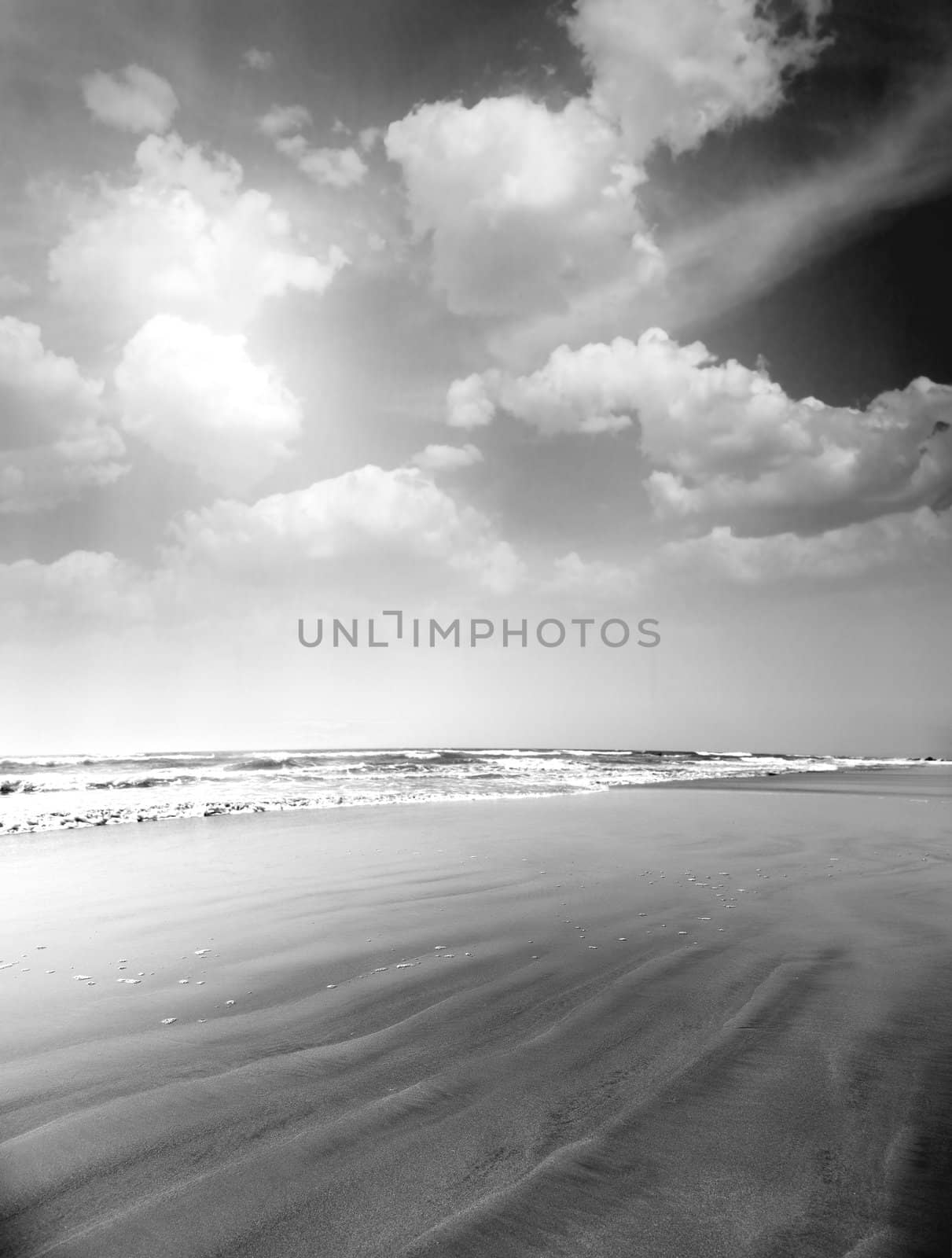 Monochrome summer beach. Vertical photo