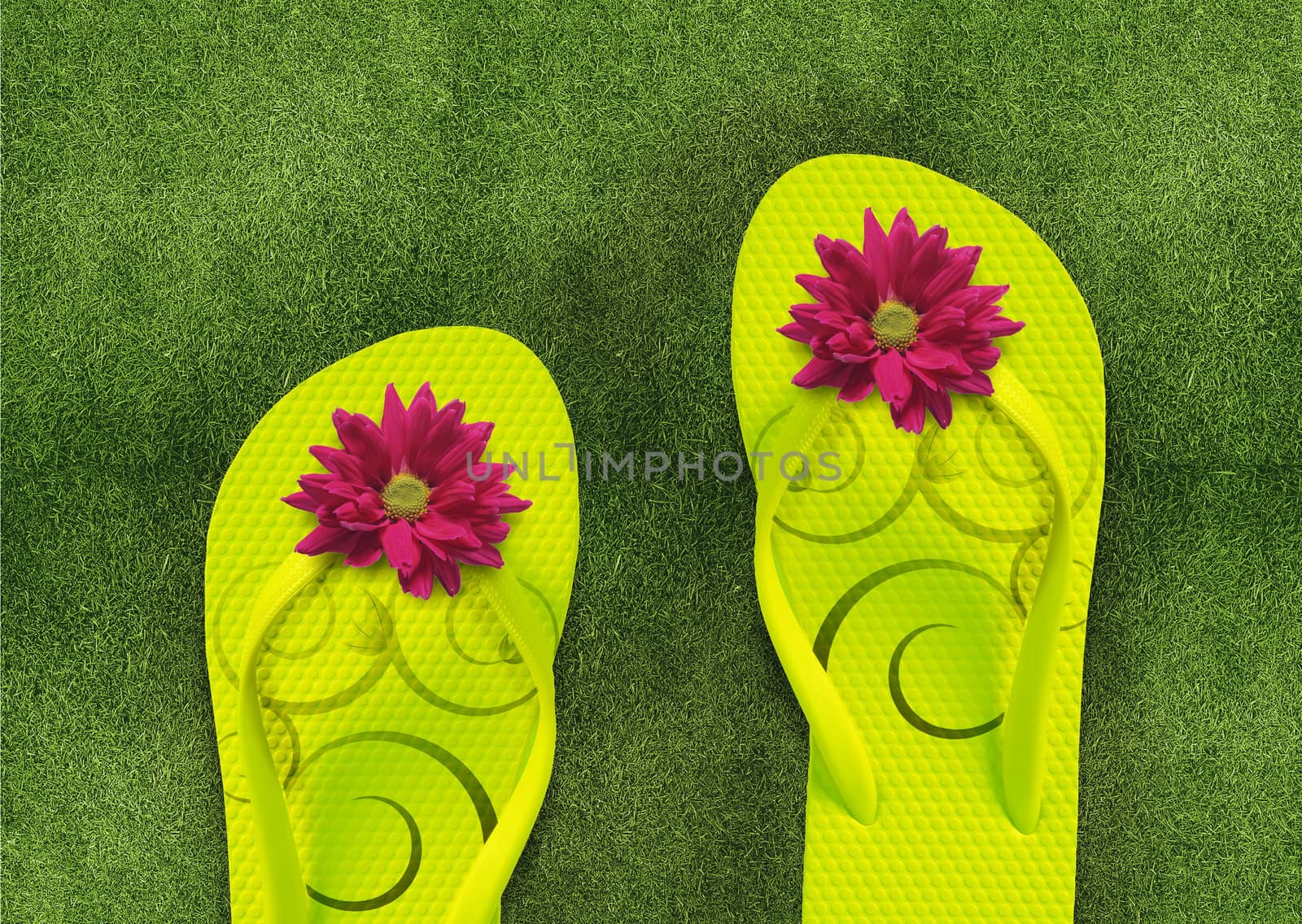 Colorful Flip Flops on green grass, summertime