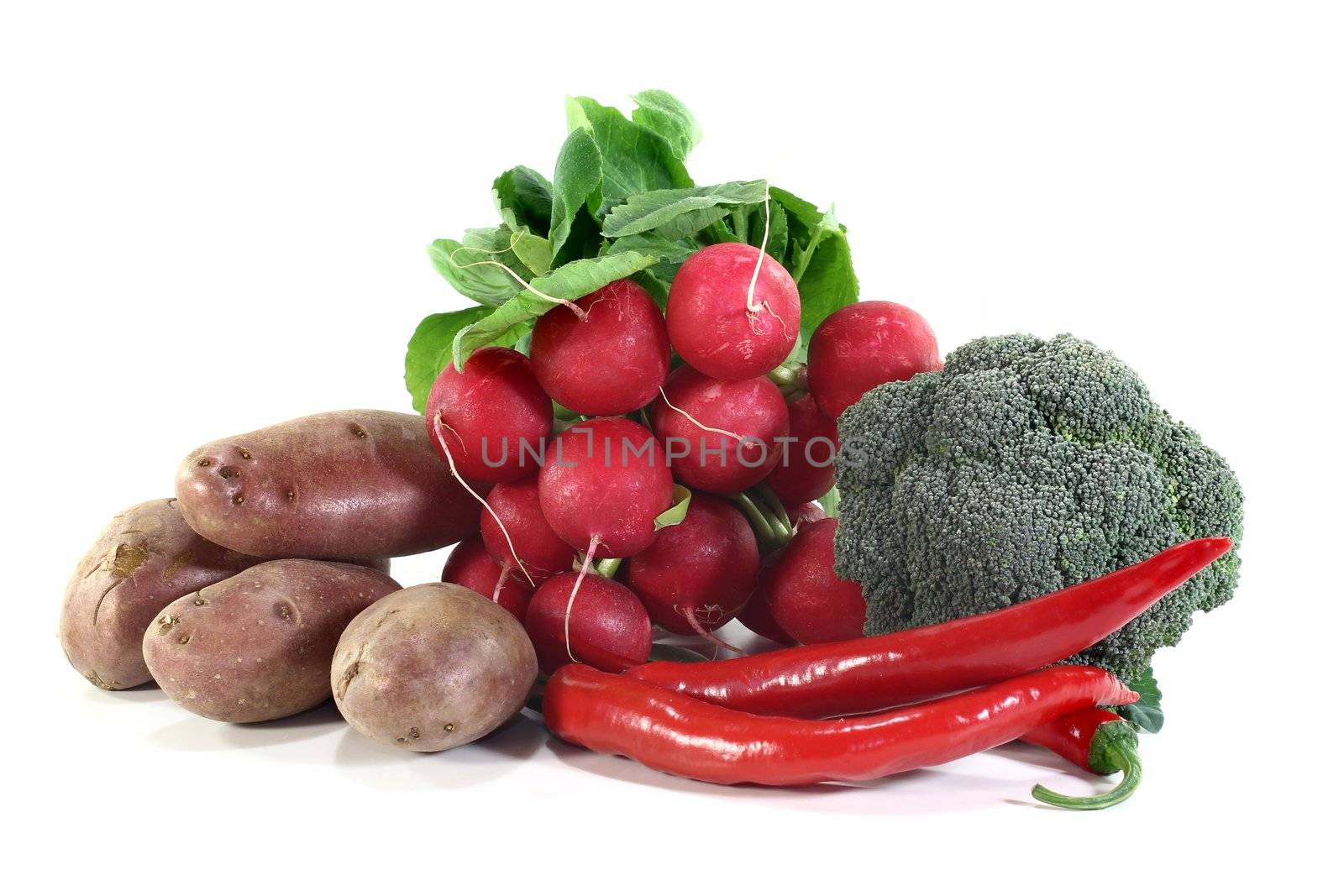 different types of vegetables on a white background