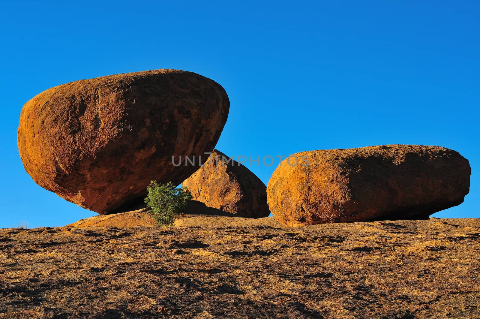 Early morning at Ameib ranch, Namibia