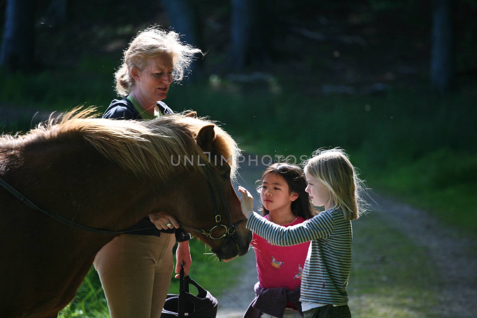 Girls on horse in a forest in denmark