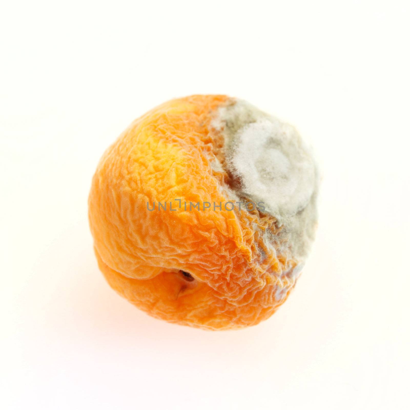 mould on peach 