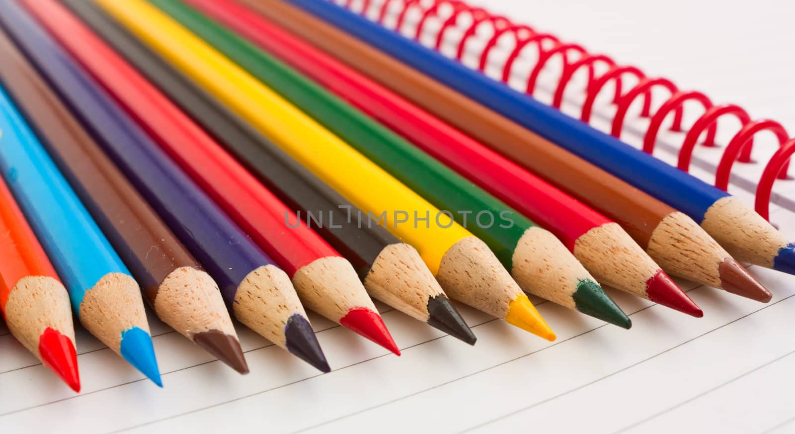 Group of thick colored pencils. by aleksan