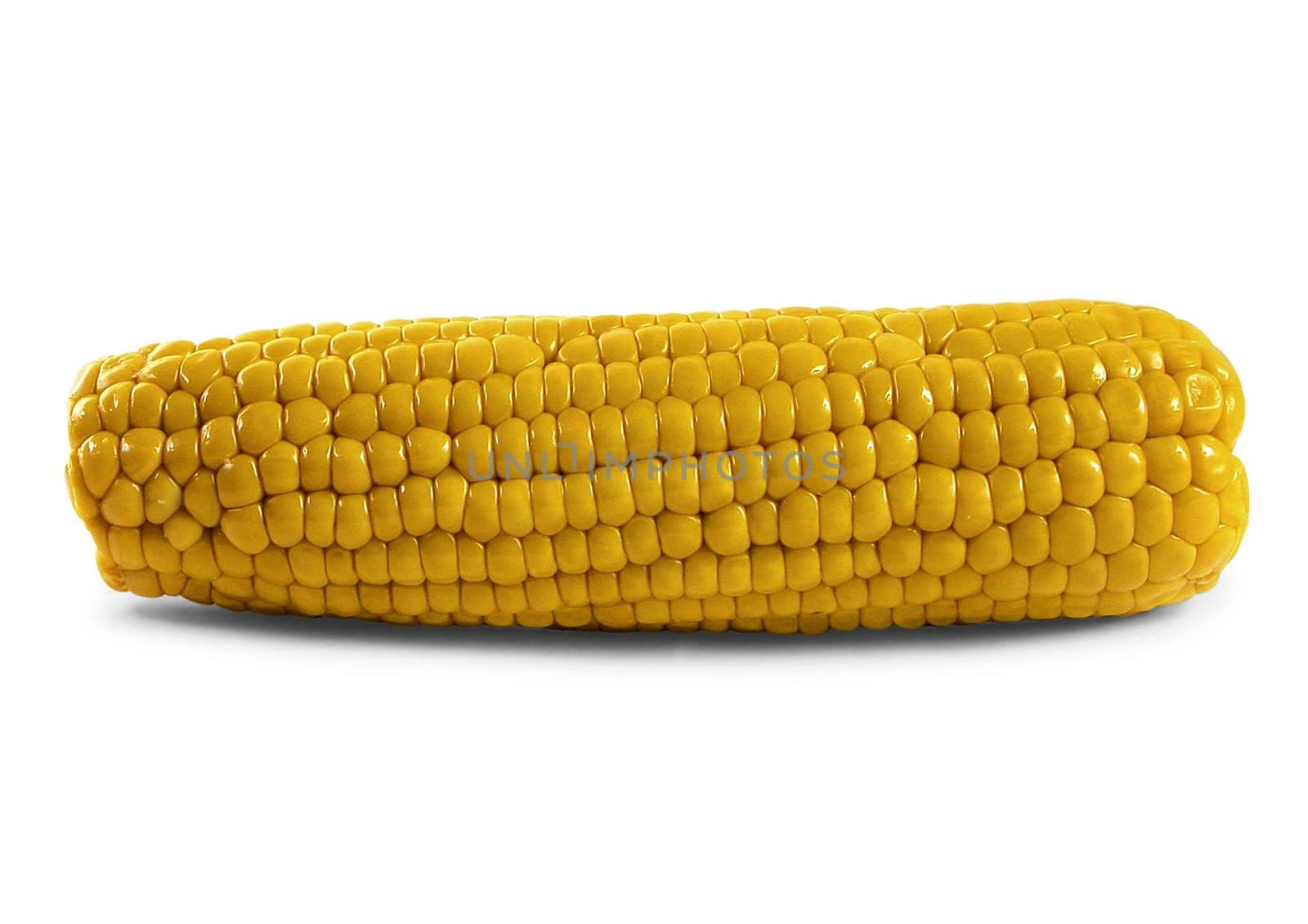 Corn on the Cob