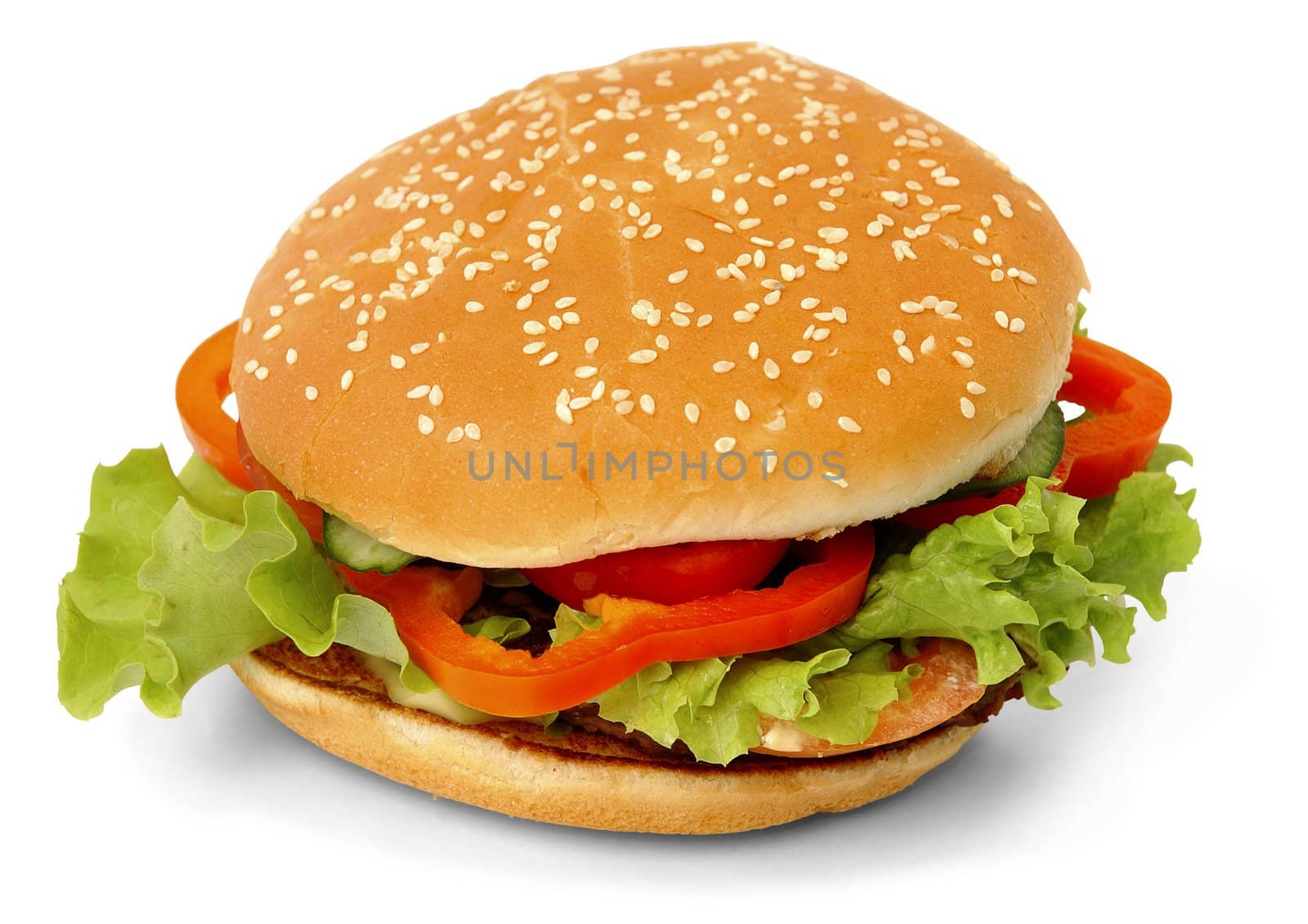 fresh hamburger with salad and onion by Baltus
