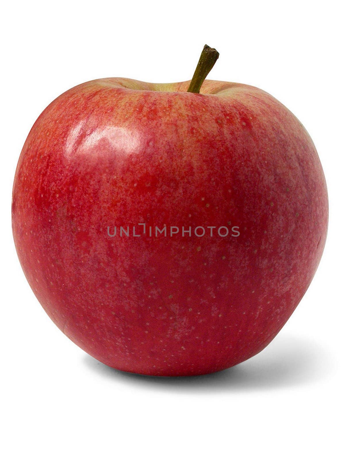 Red Delicious Apple by Baltus