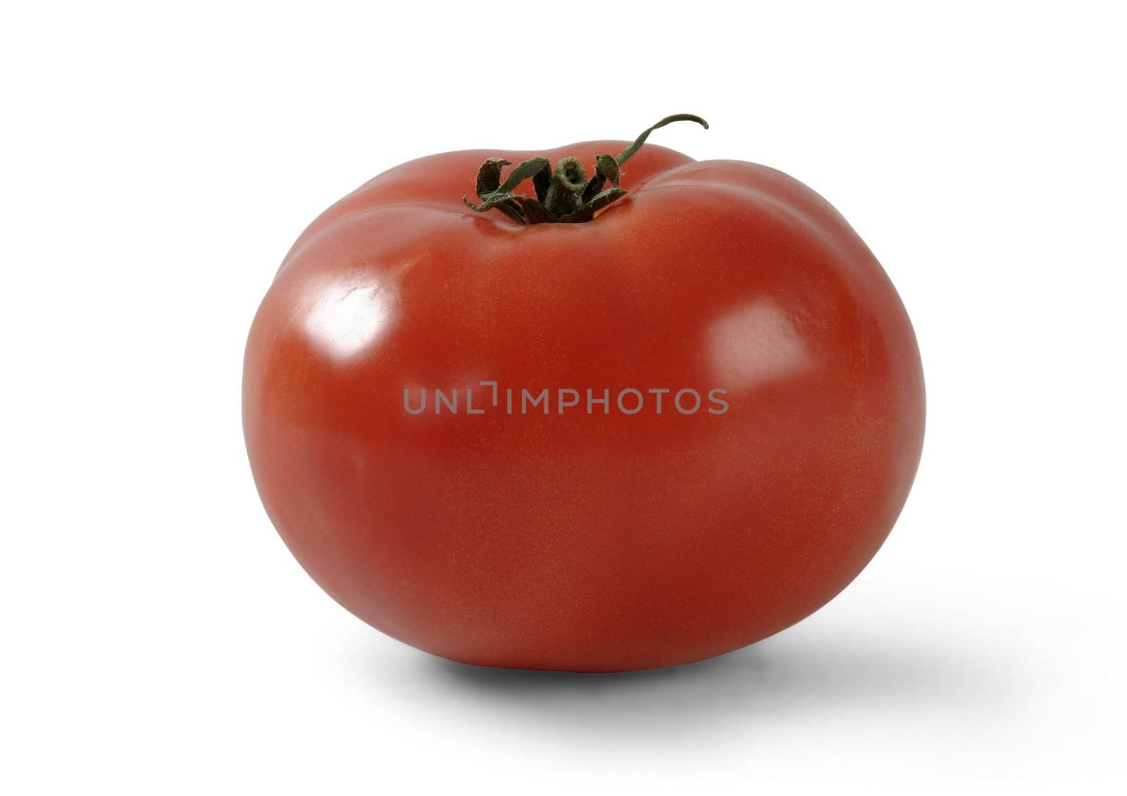 tomato by Baltus