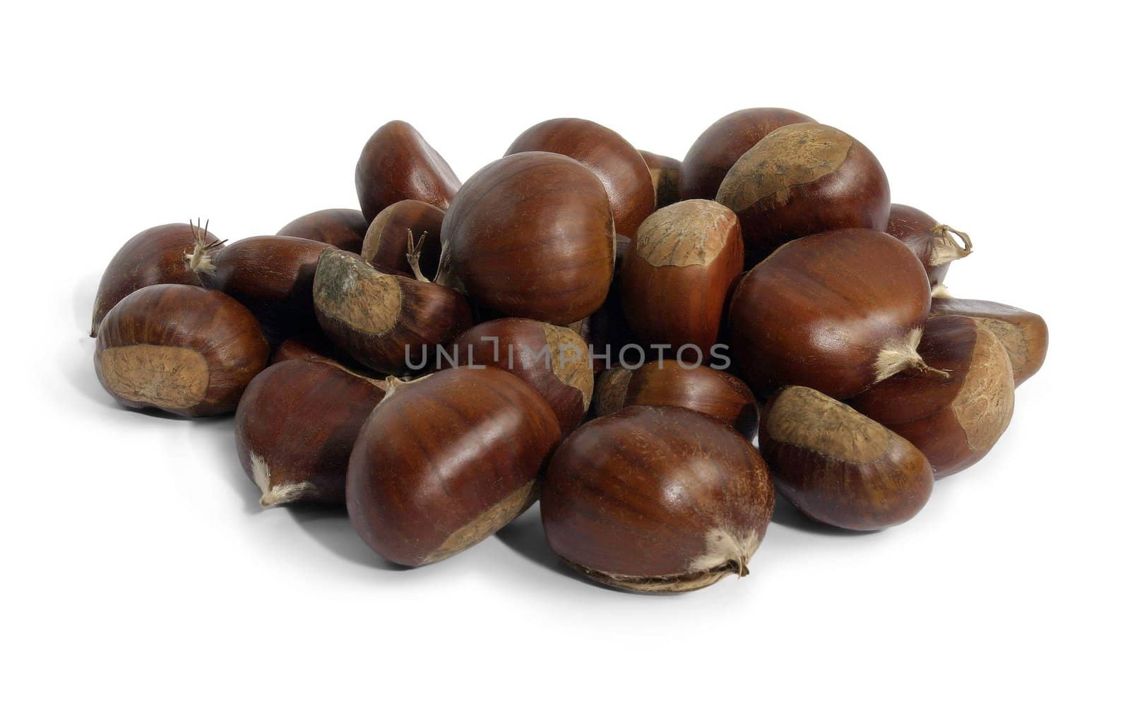 chestnut by Baltus