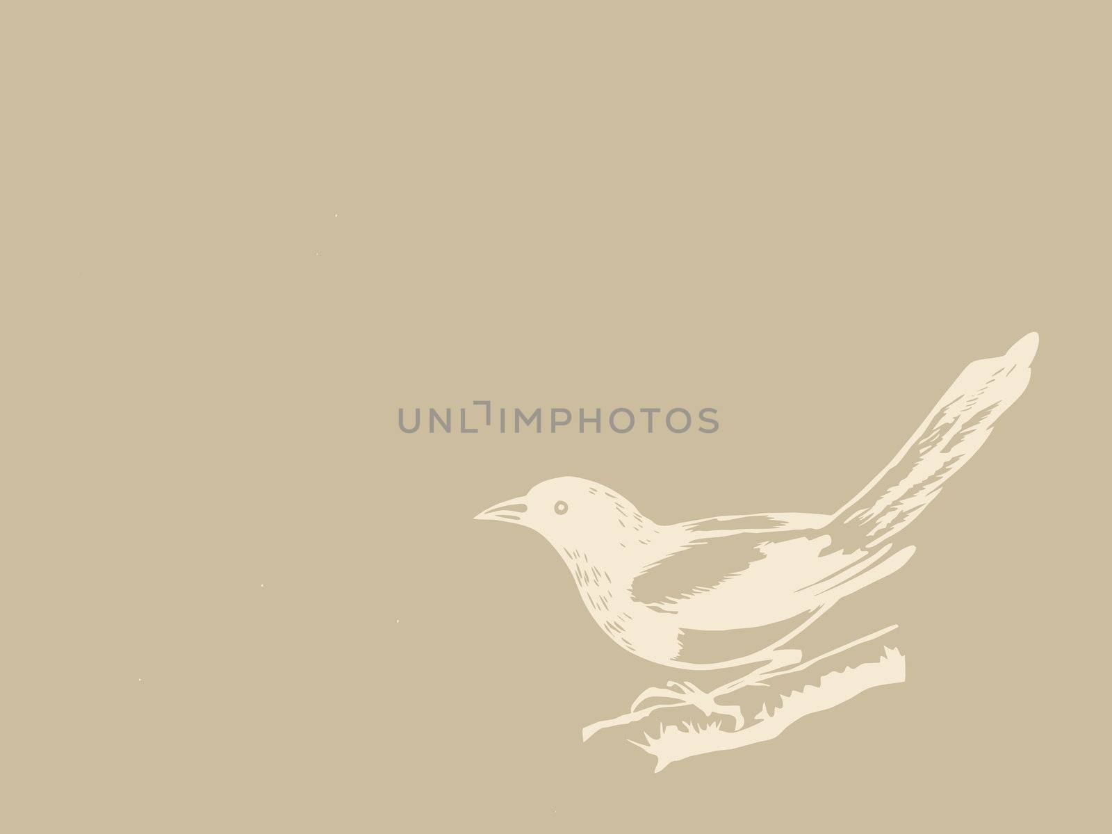 bird on brown background