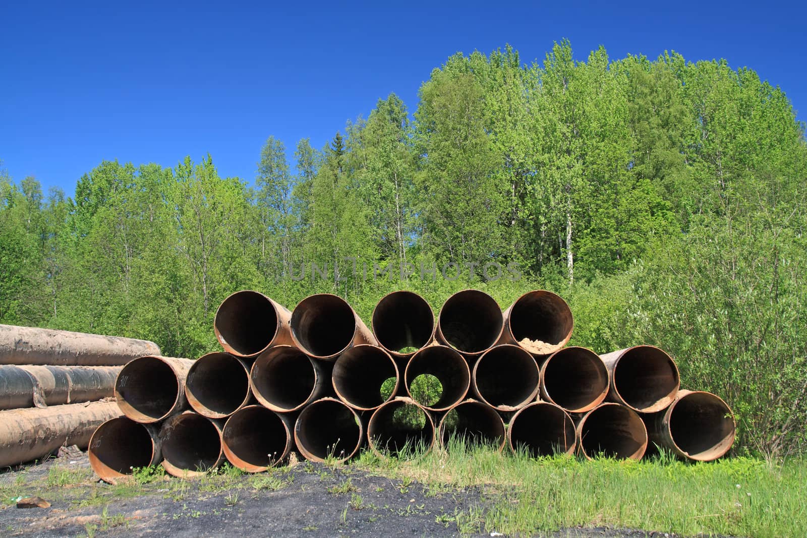 old gas pipes amongst green herb