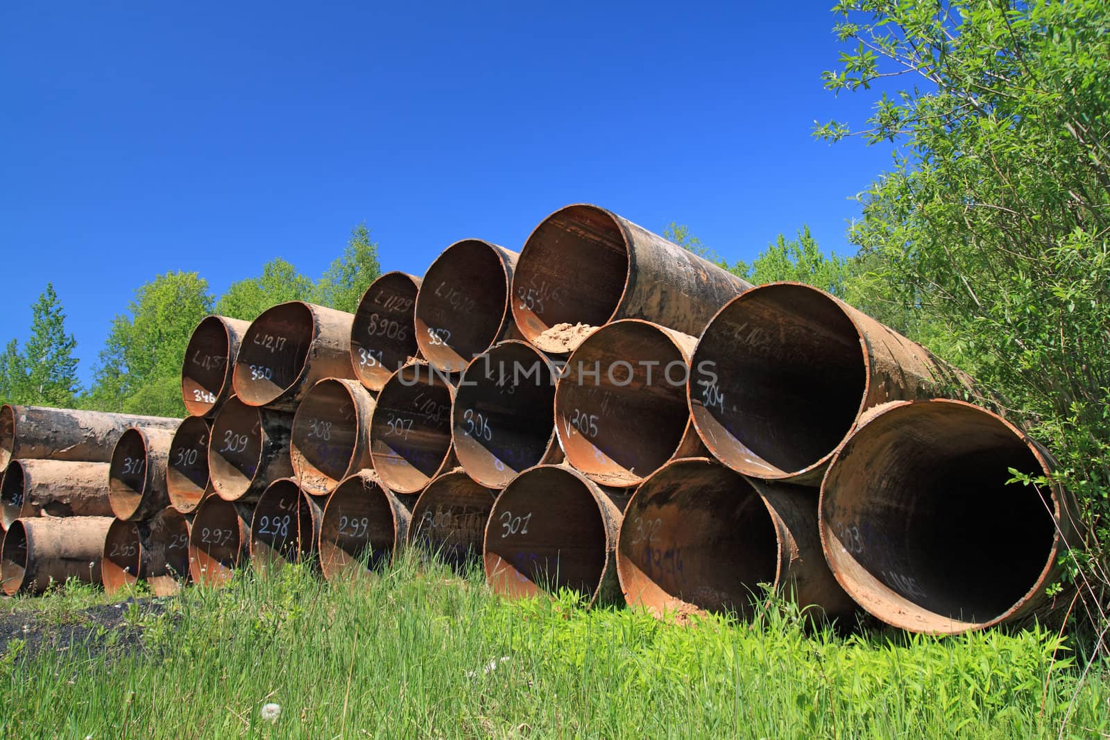 old gas pipes amongst green herb