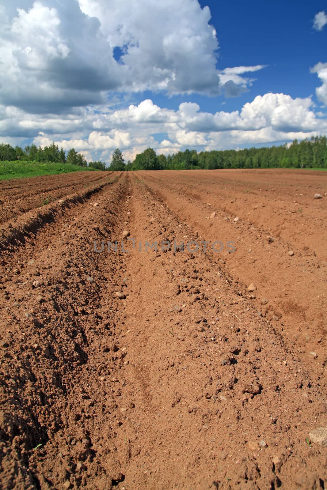 plow field by basel101658