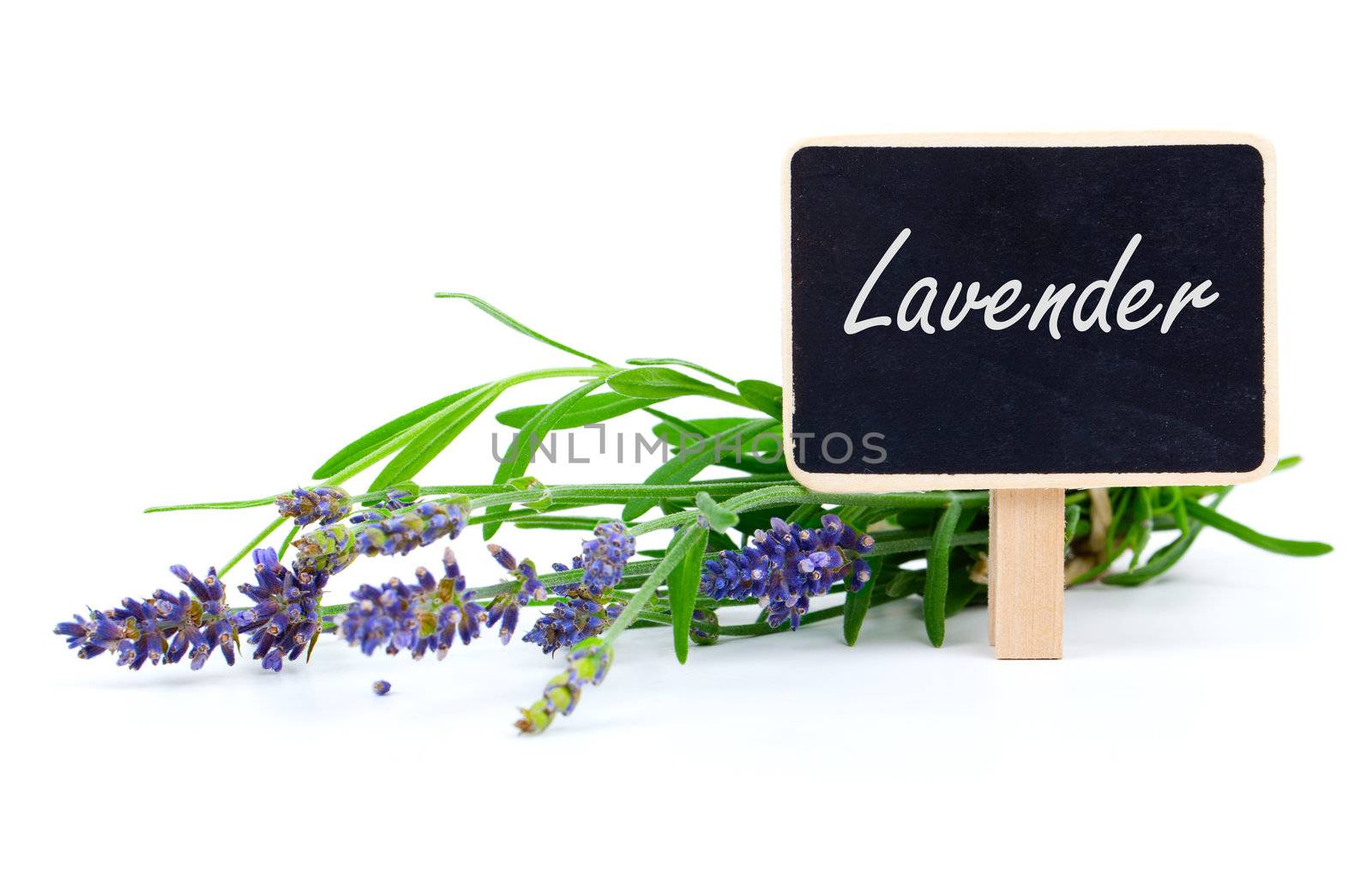 a bunch of lavender flowers with letter plate, on a white background