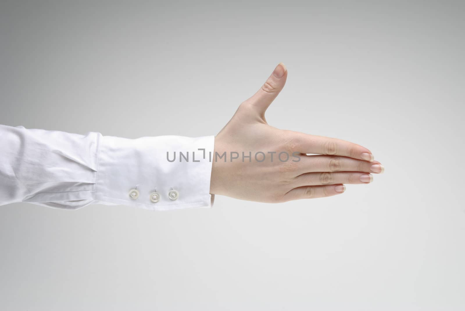 Woman extends a hand for greeting over light background