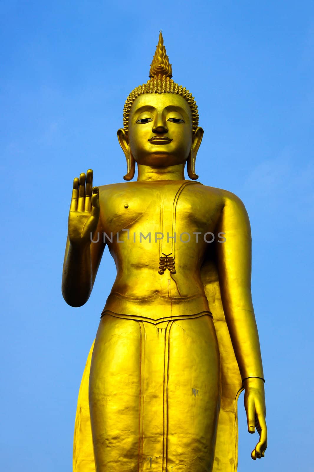 Statue of Buddha in Thailand by Noppharat_th