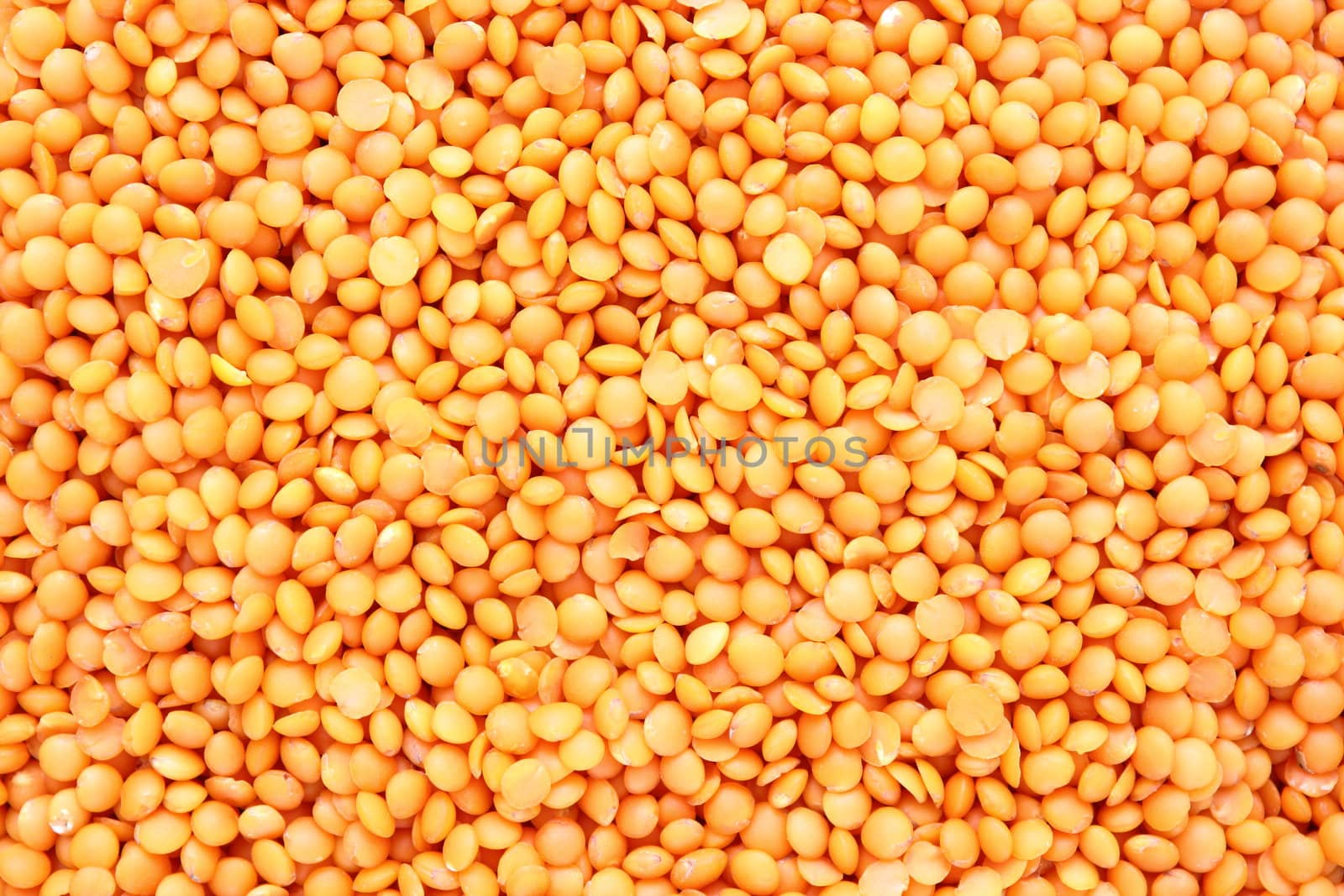 textured bunch of red lentil