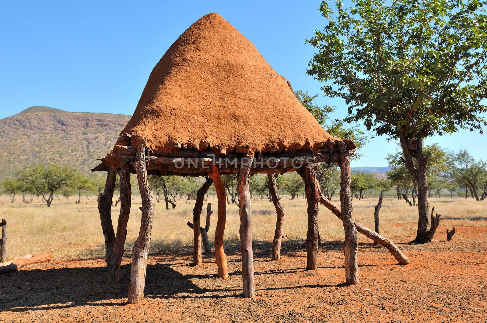 Ovahimba food storage room on stilts to keep food away from domestic animals near Epupa, Namibia. Roof made from mud mixed with dung.