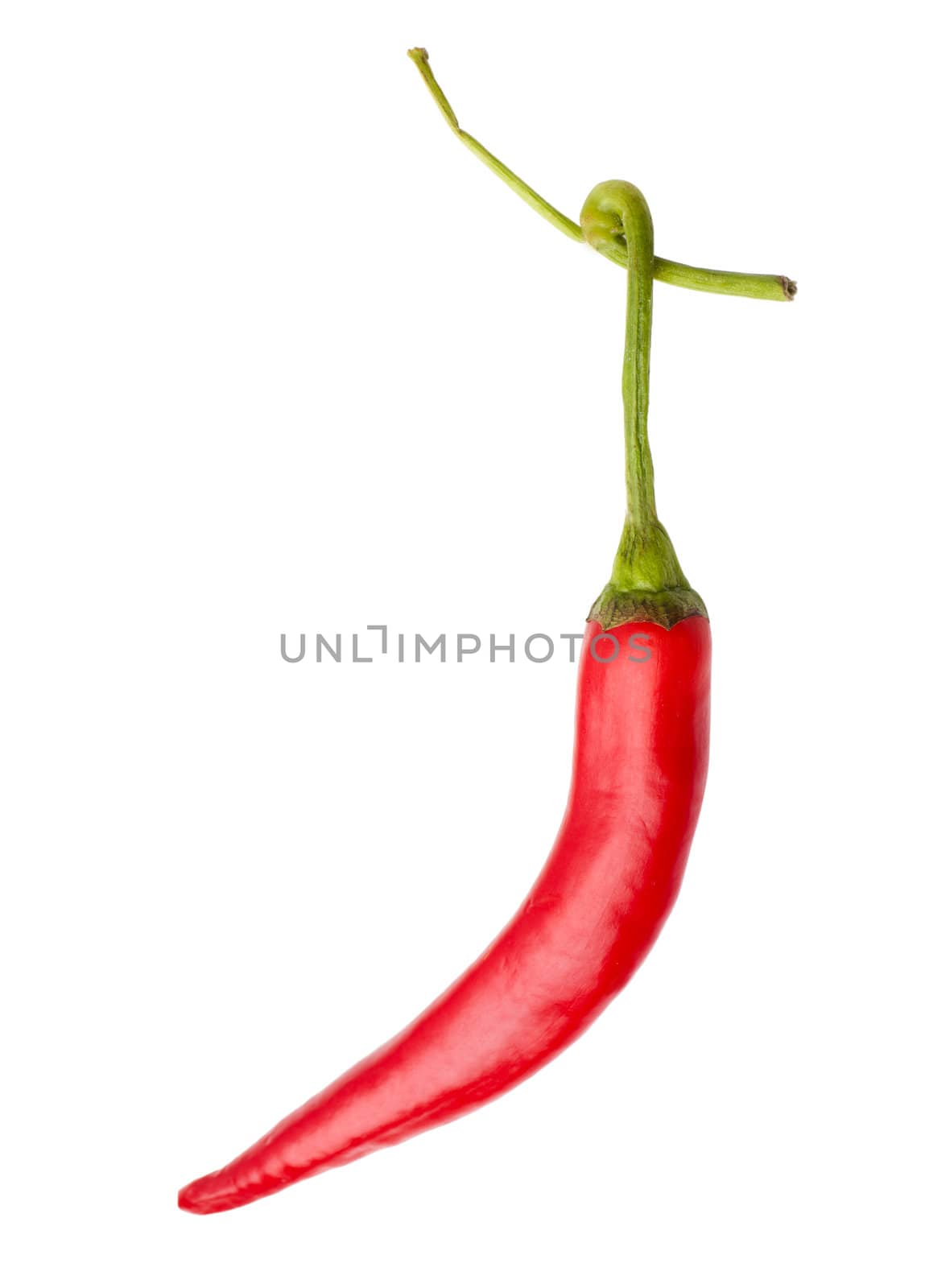 Red chili pepper by AGorohov
