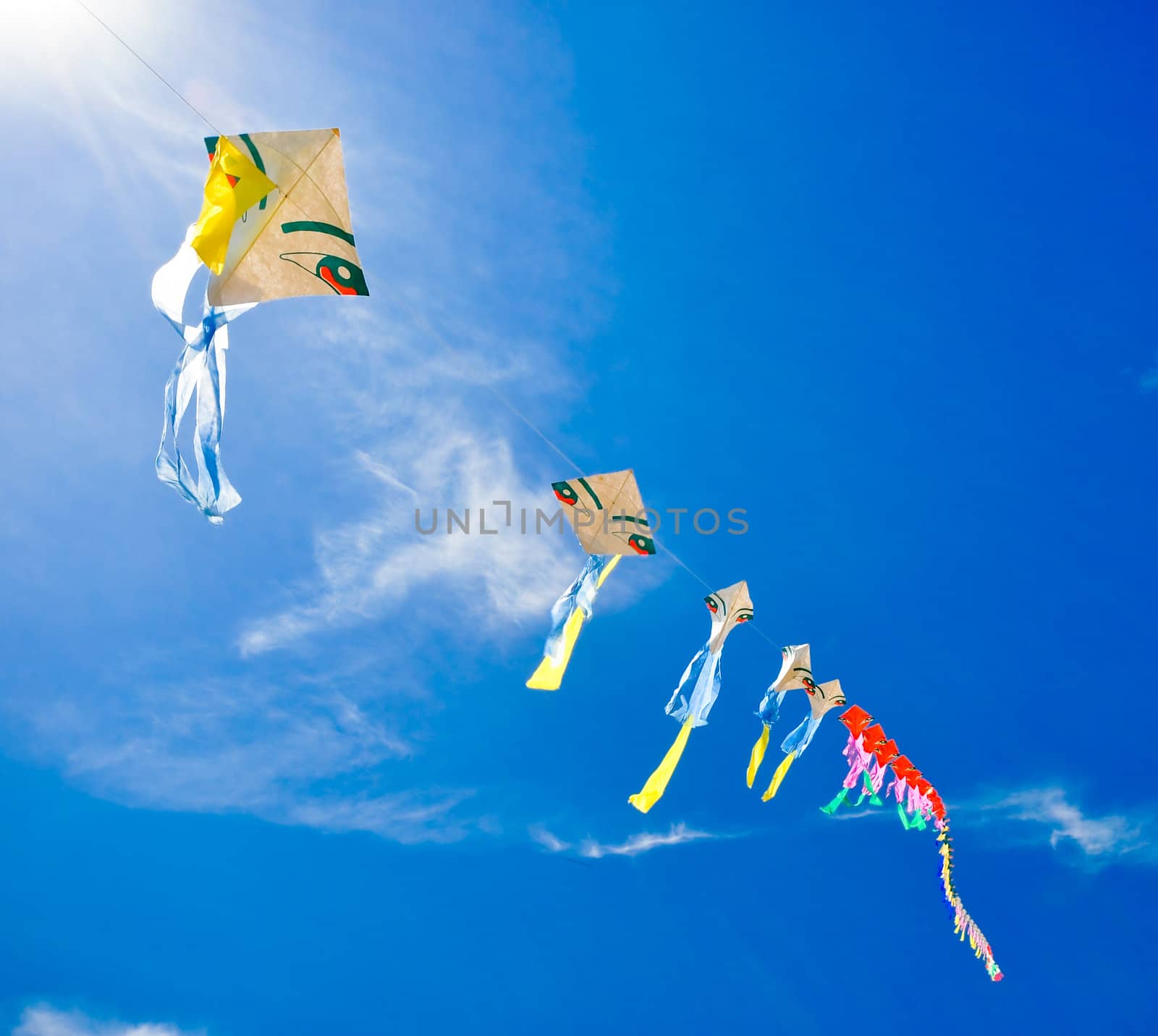 colorful of kites in the blue sky