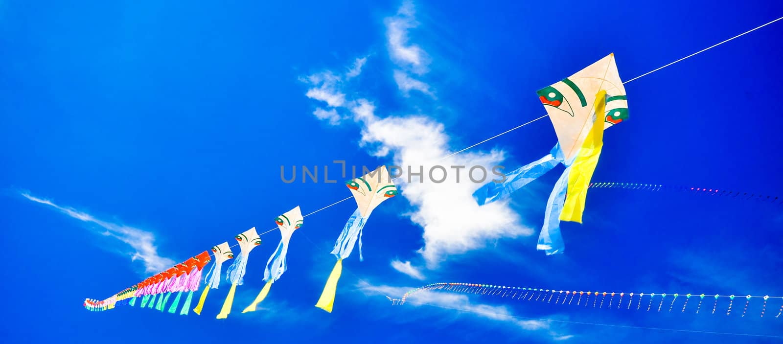 colorful of kites in the blue sky