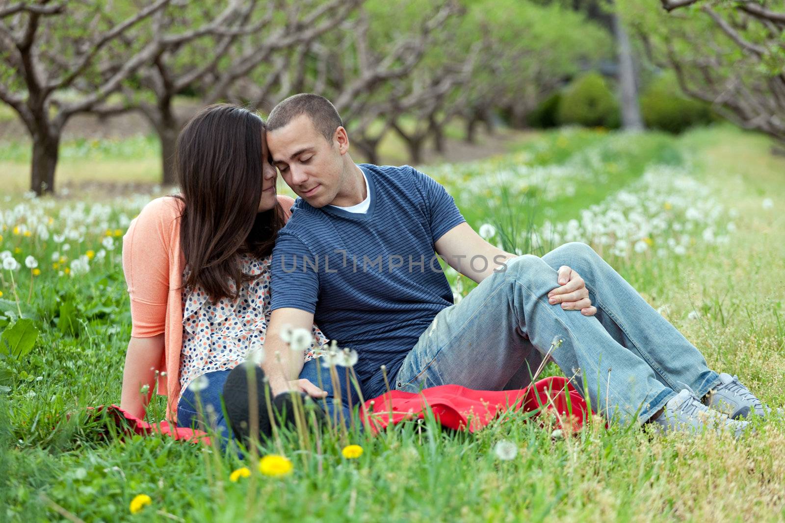 Young happy couple enjoying each others company outdoors on a picnic blanket.